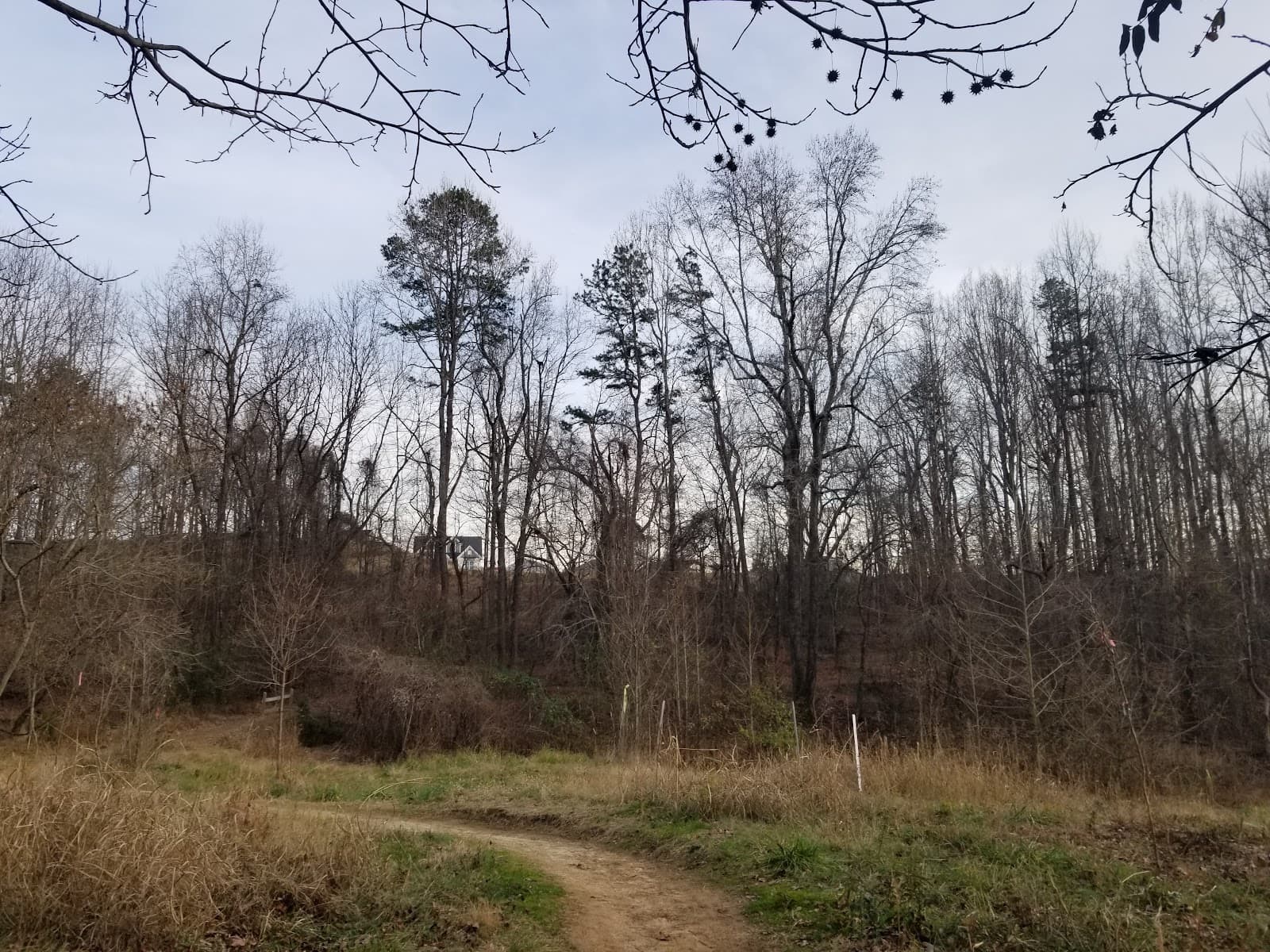 Seven Oaks Preserve Trail - Image 1