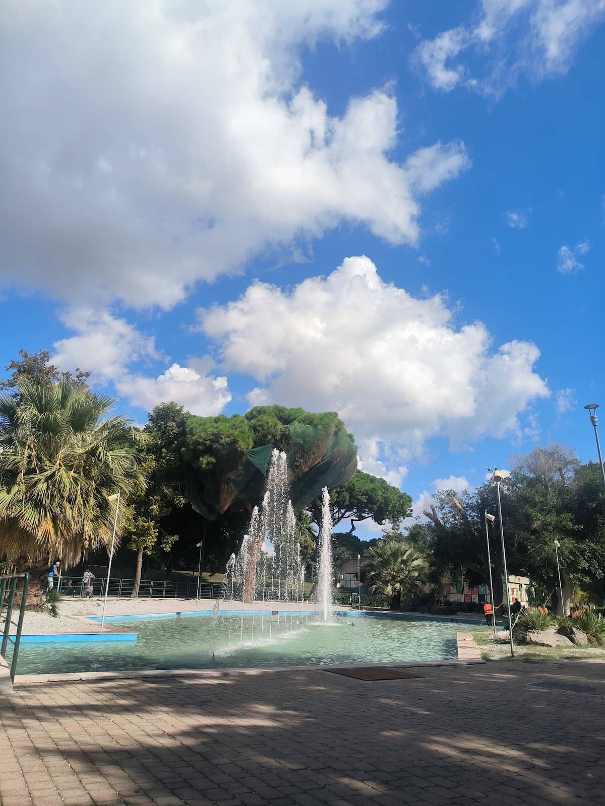 Sports & Recreation Hub