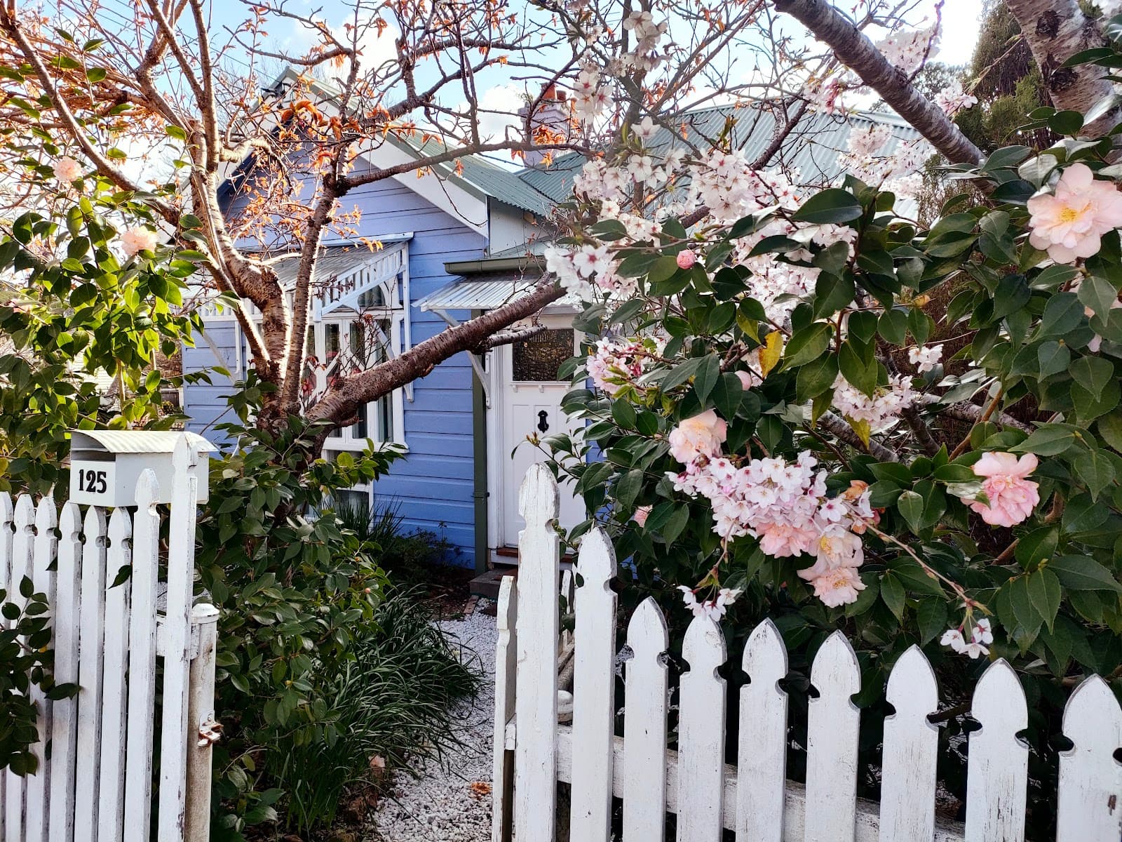 Leura Sydney - Image 1