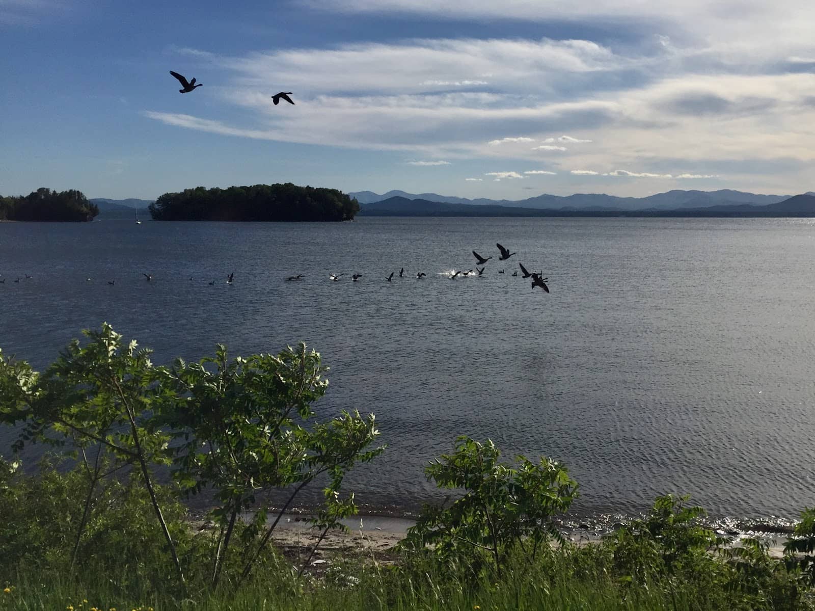Meach Cove Waterfront