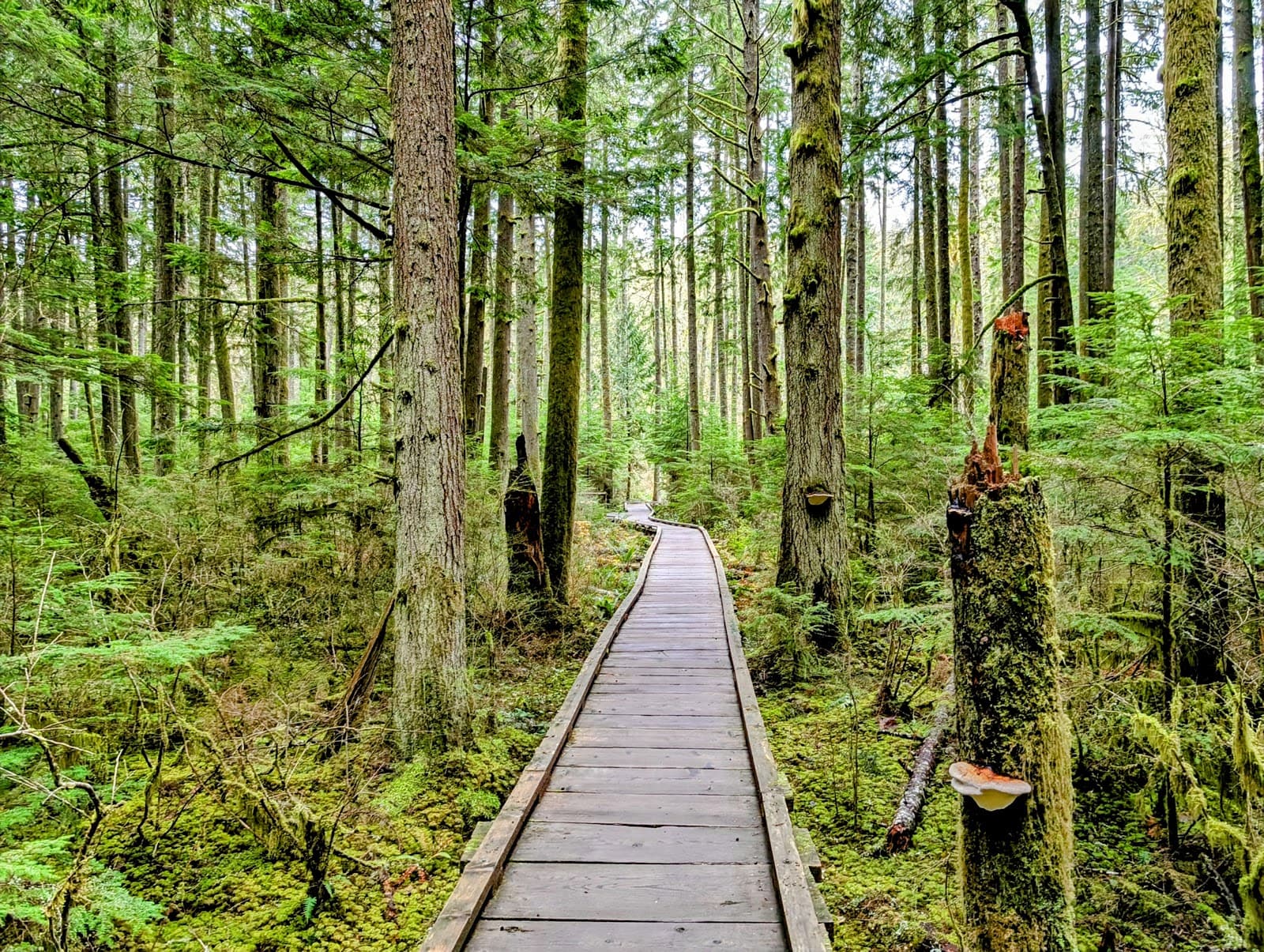 Grand Ridge Park - Image 1