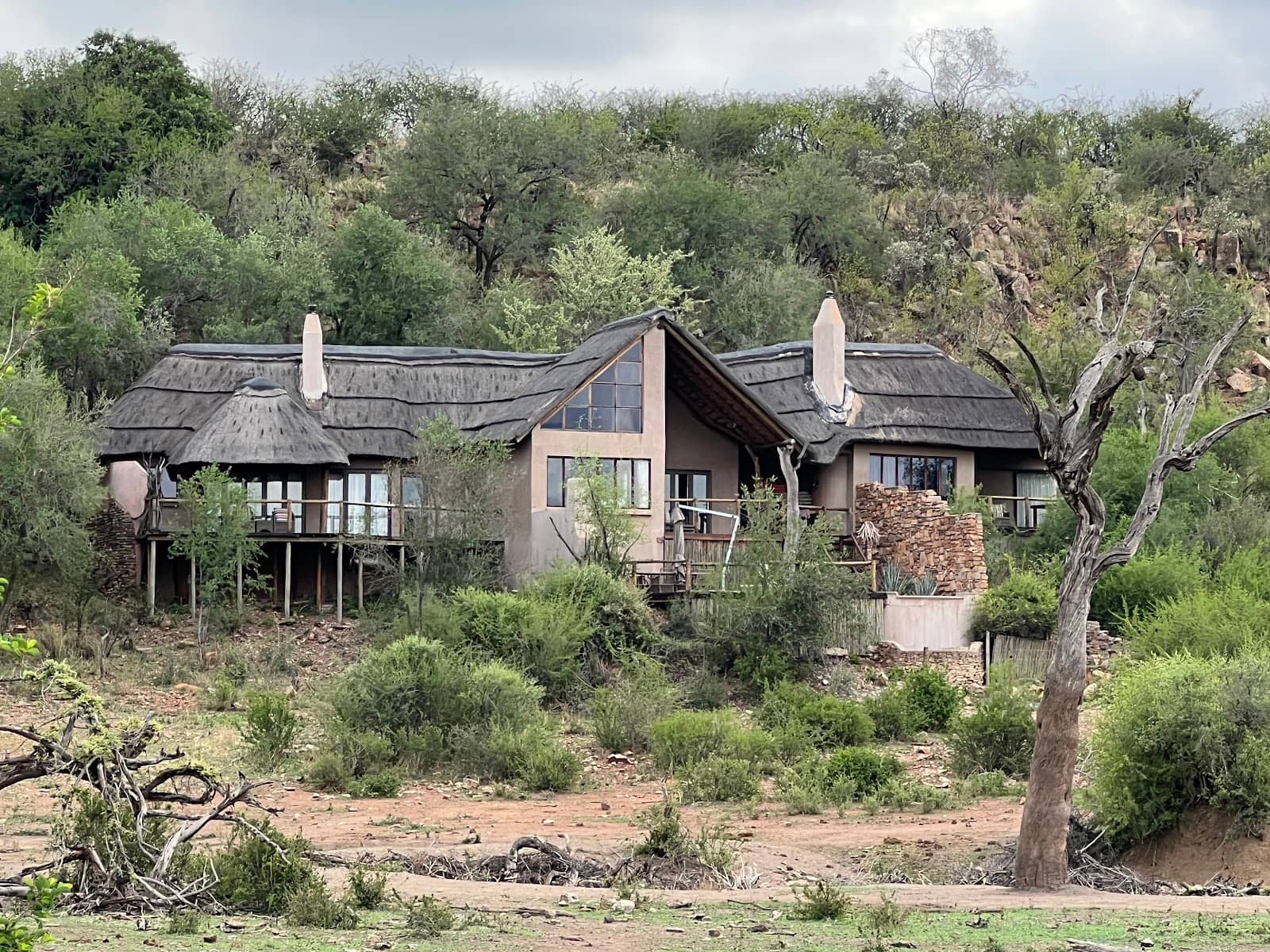 Open-Top Safari Vehicles
