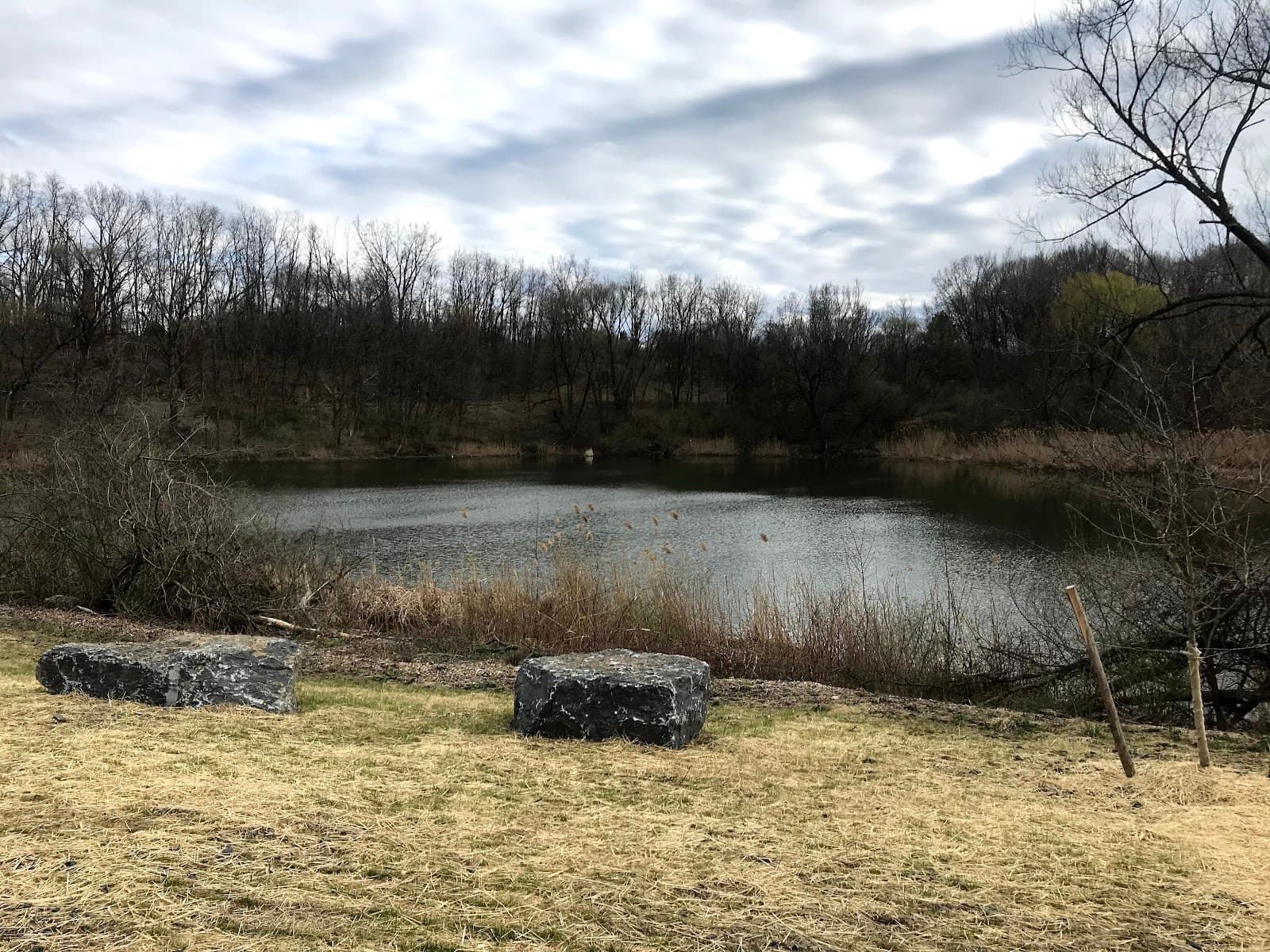 Tivoli Lake Preserve - Image 1