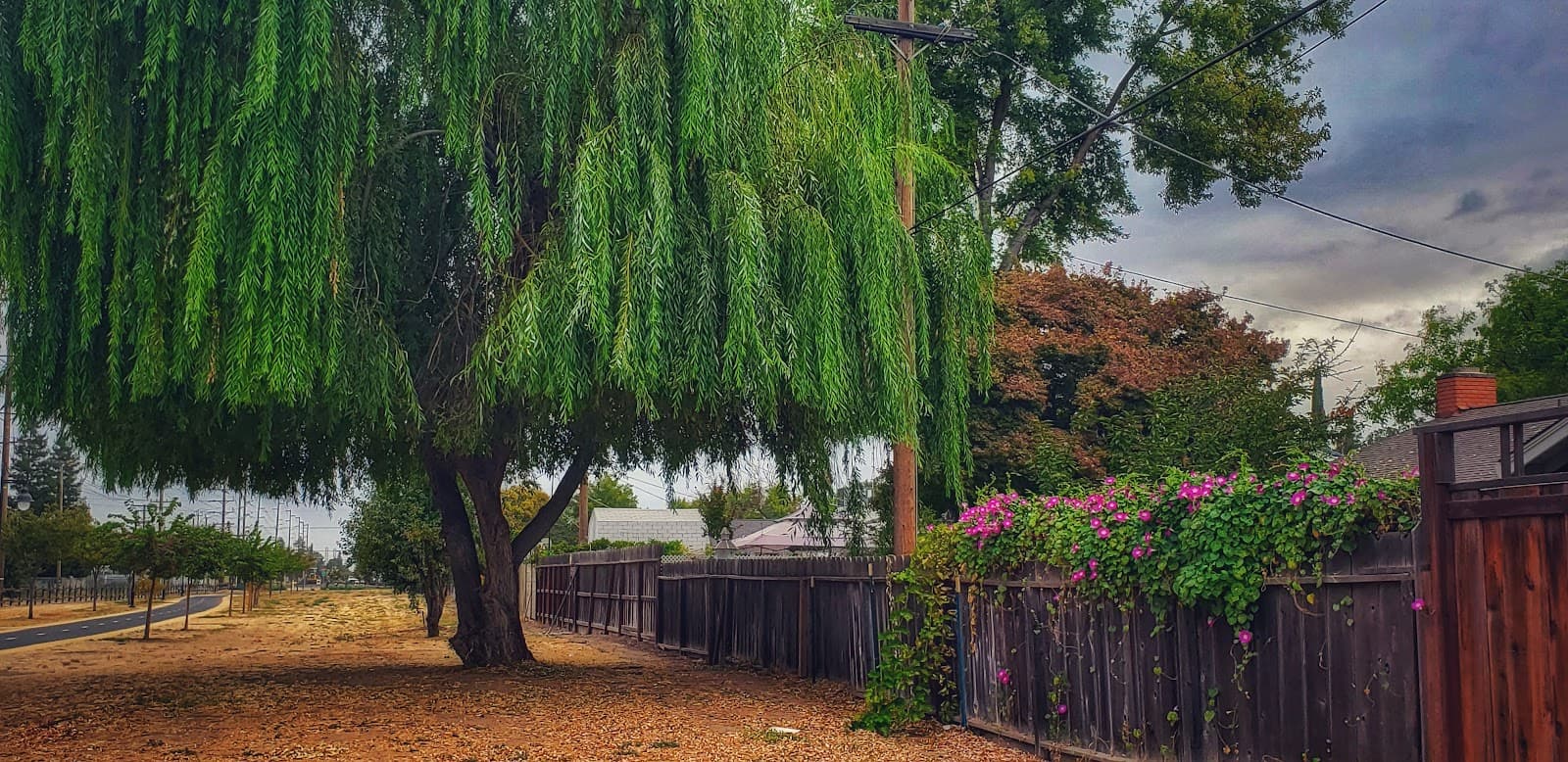 Virginia Corridor Trailway - Image 1