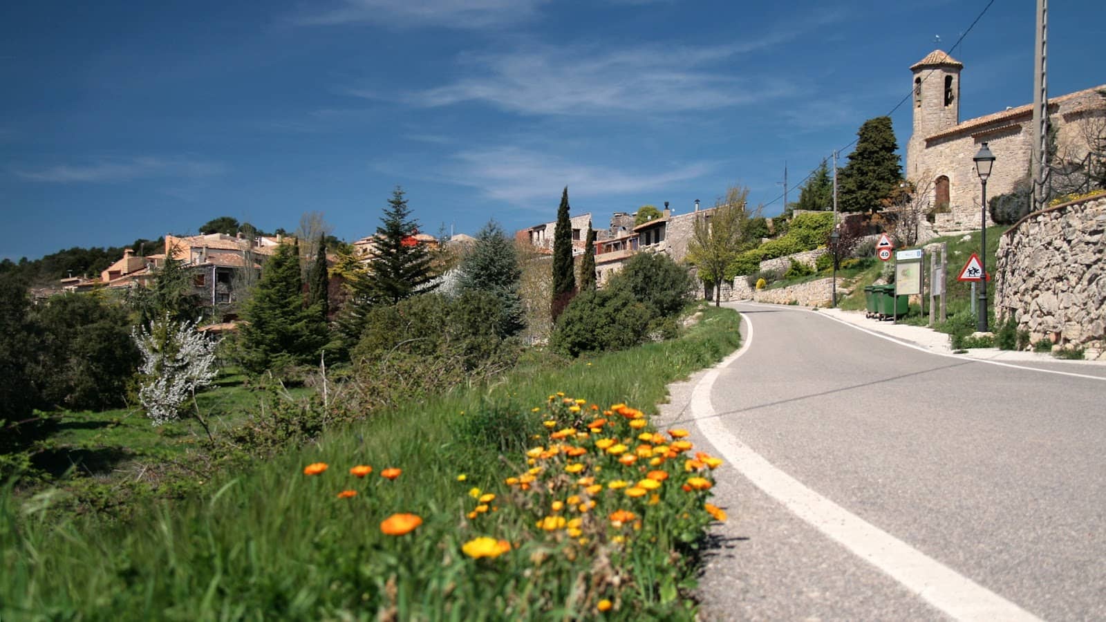 Gothic and Romanesque Architecture