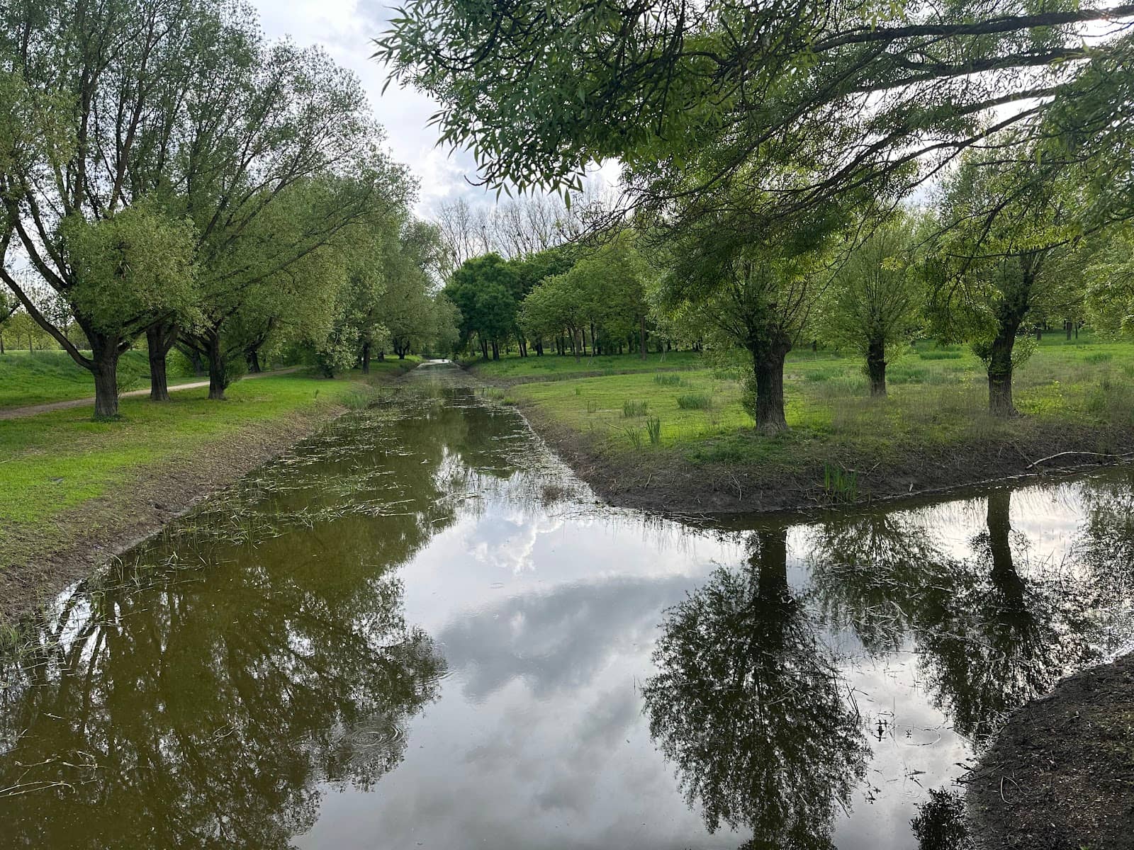 Network of Paths & Canals