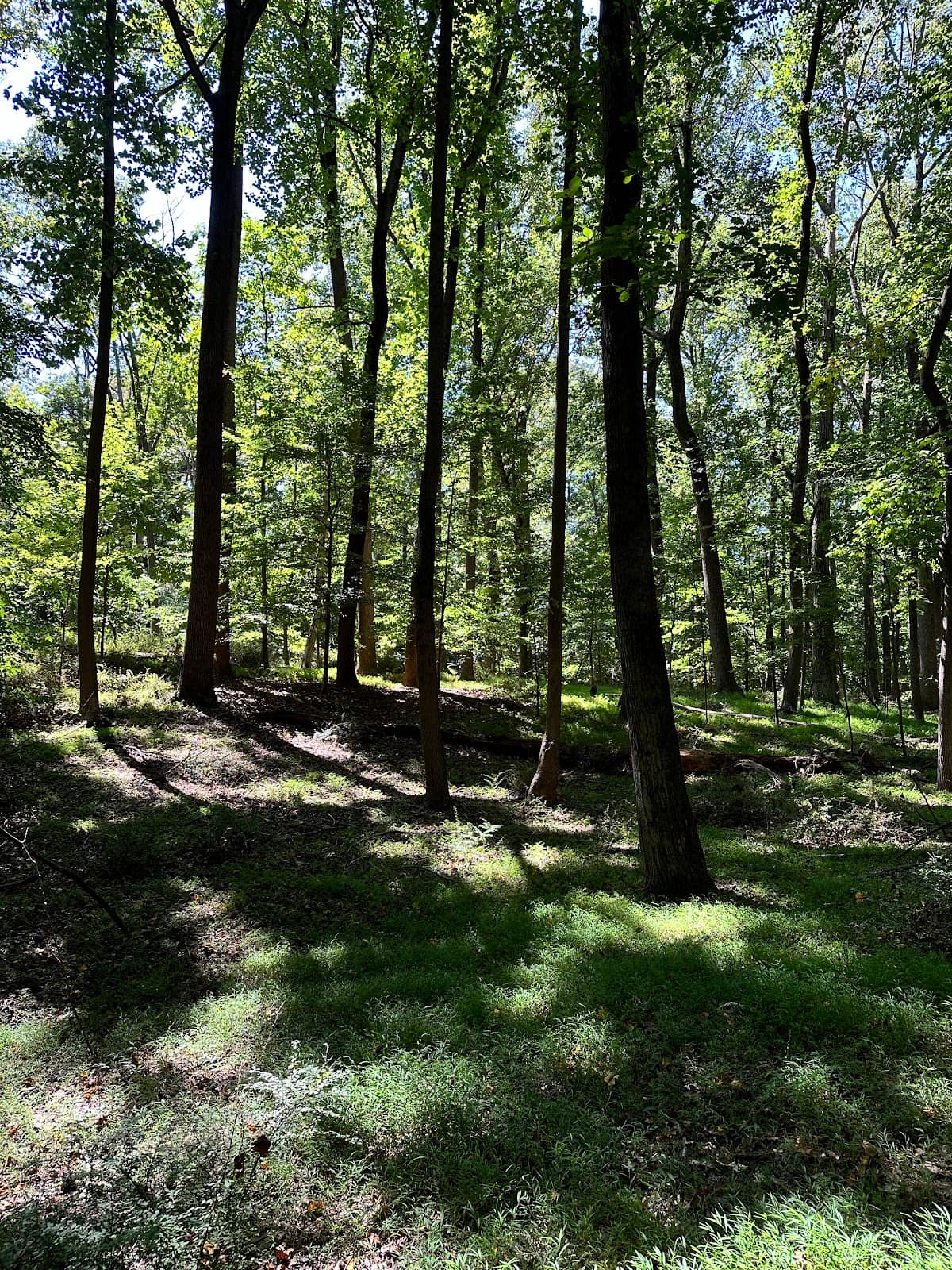 Scenic Hiking Trails