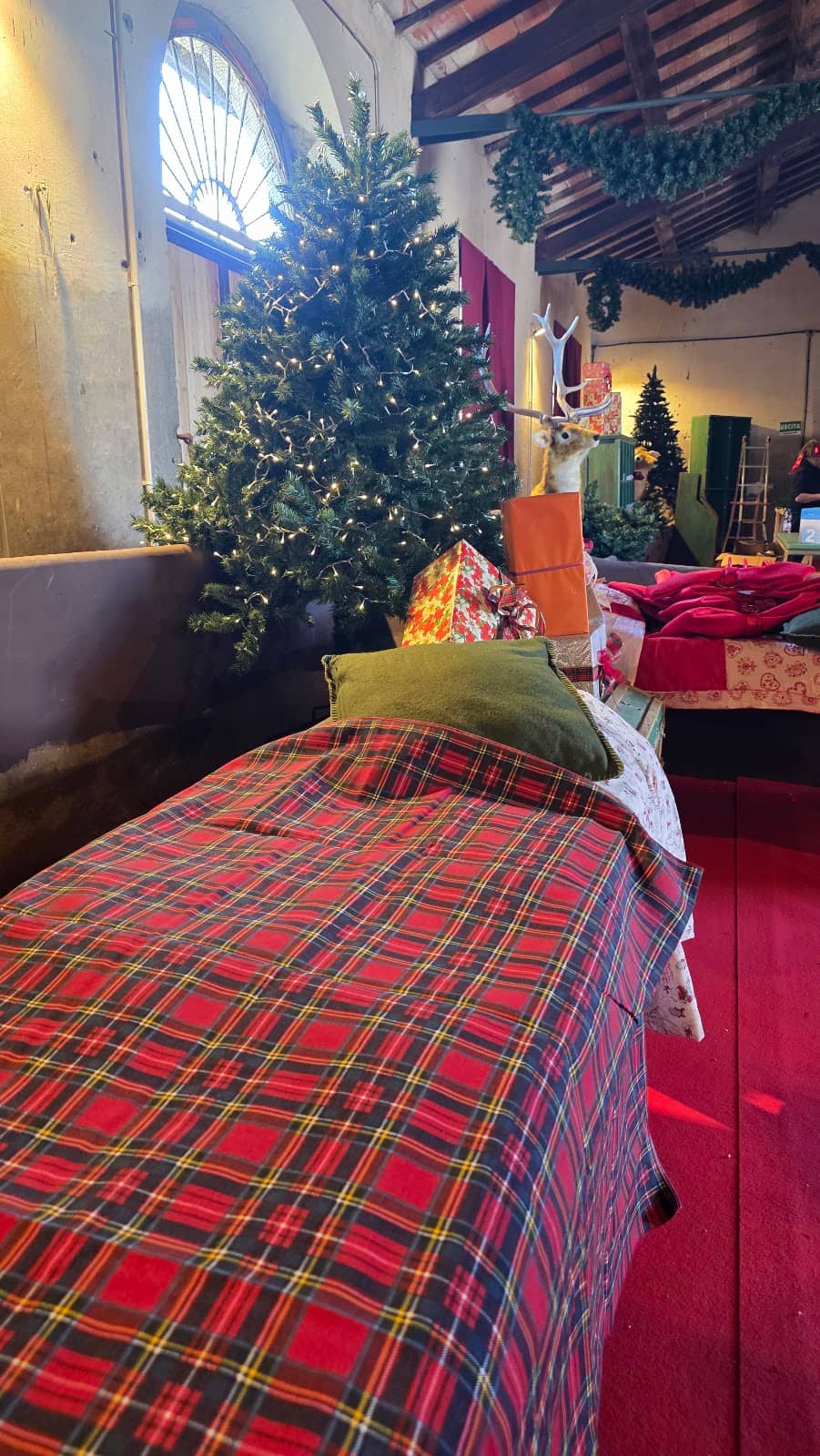 Elf Workshops & Shows