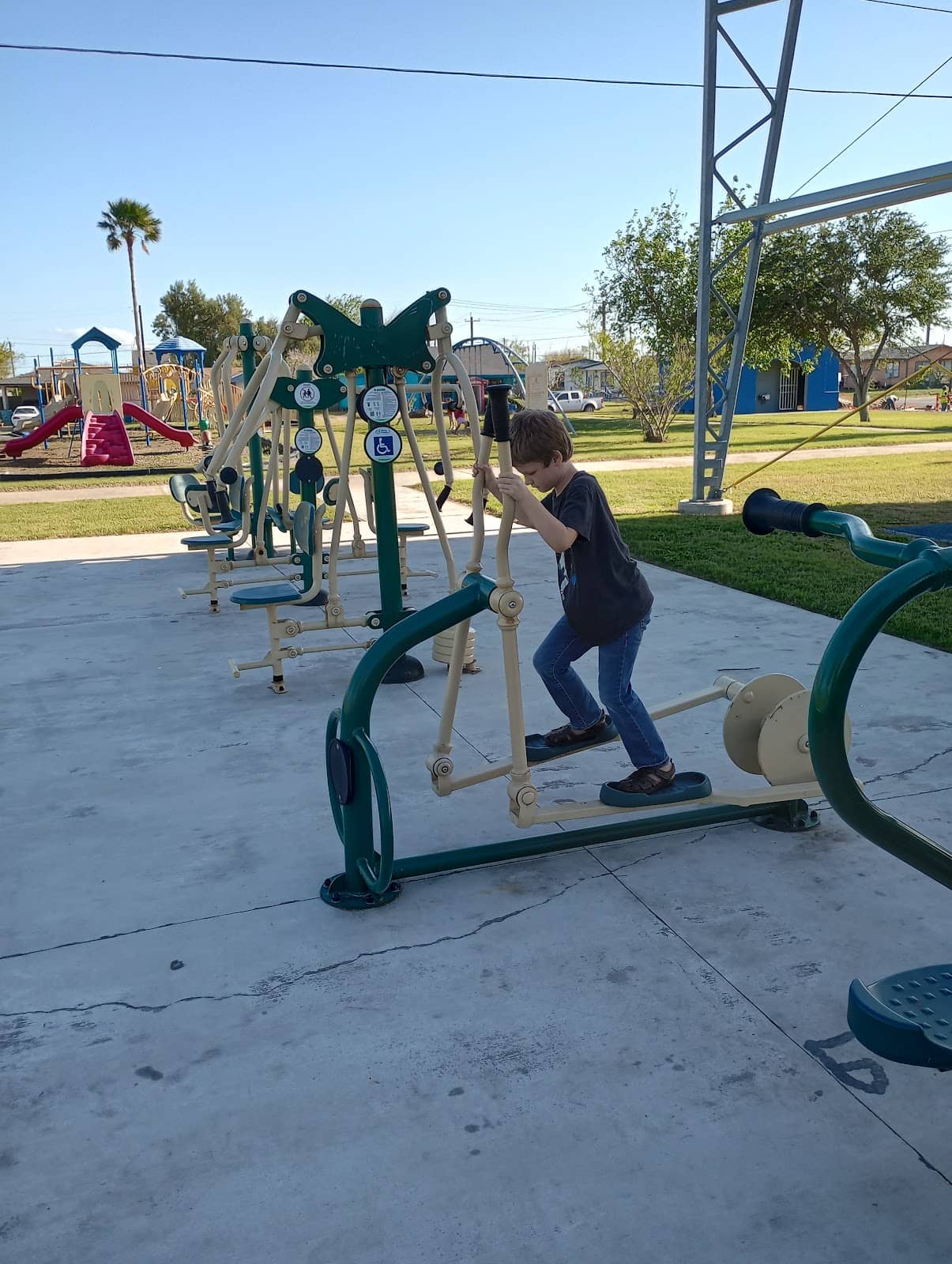 Festive Christmas Decorations