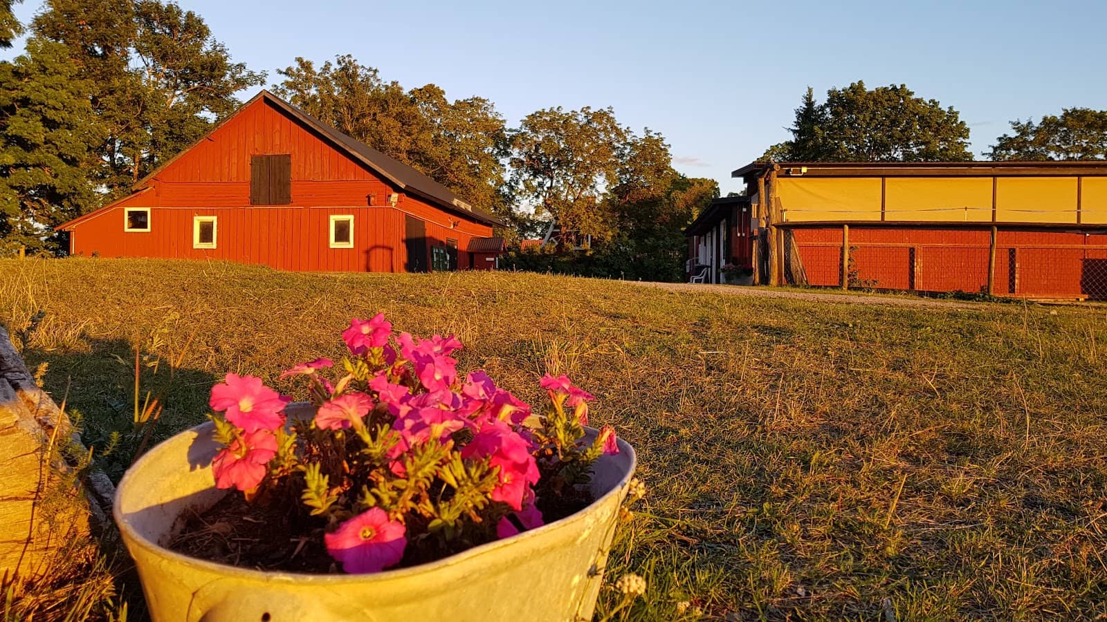 Cozy Garden Atmosphere