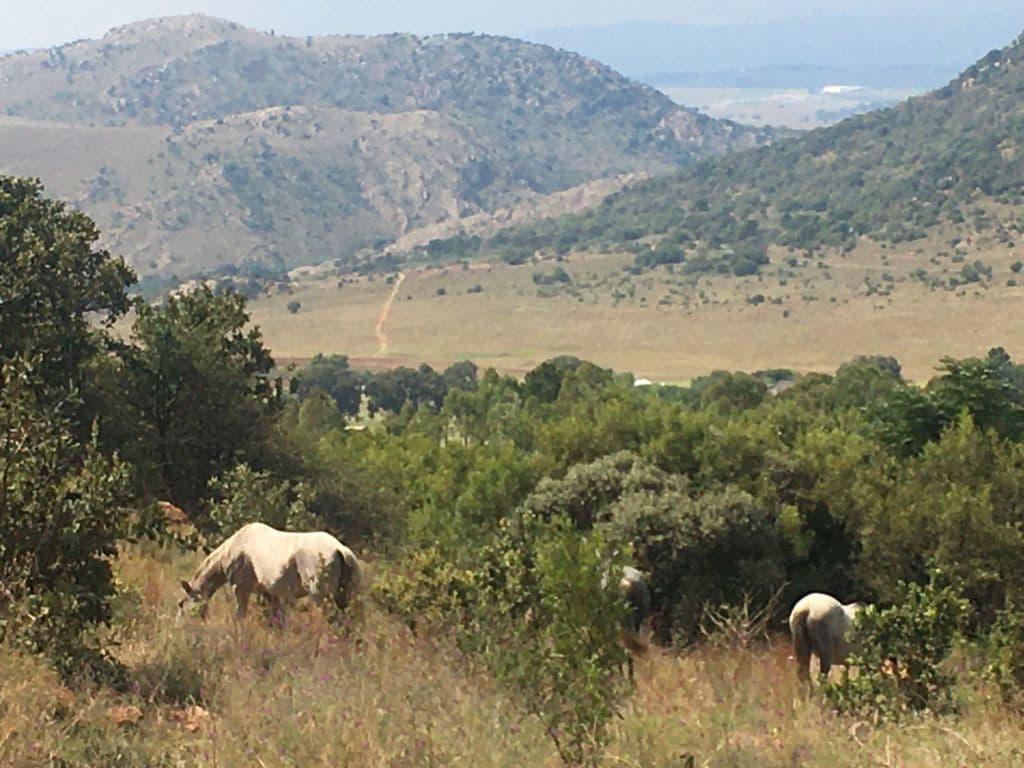 Muldersdrift - Image 1