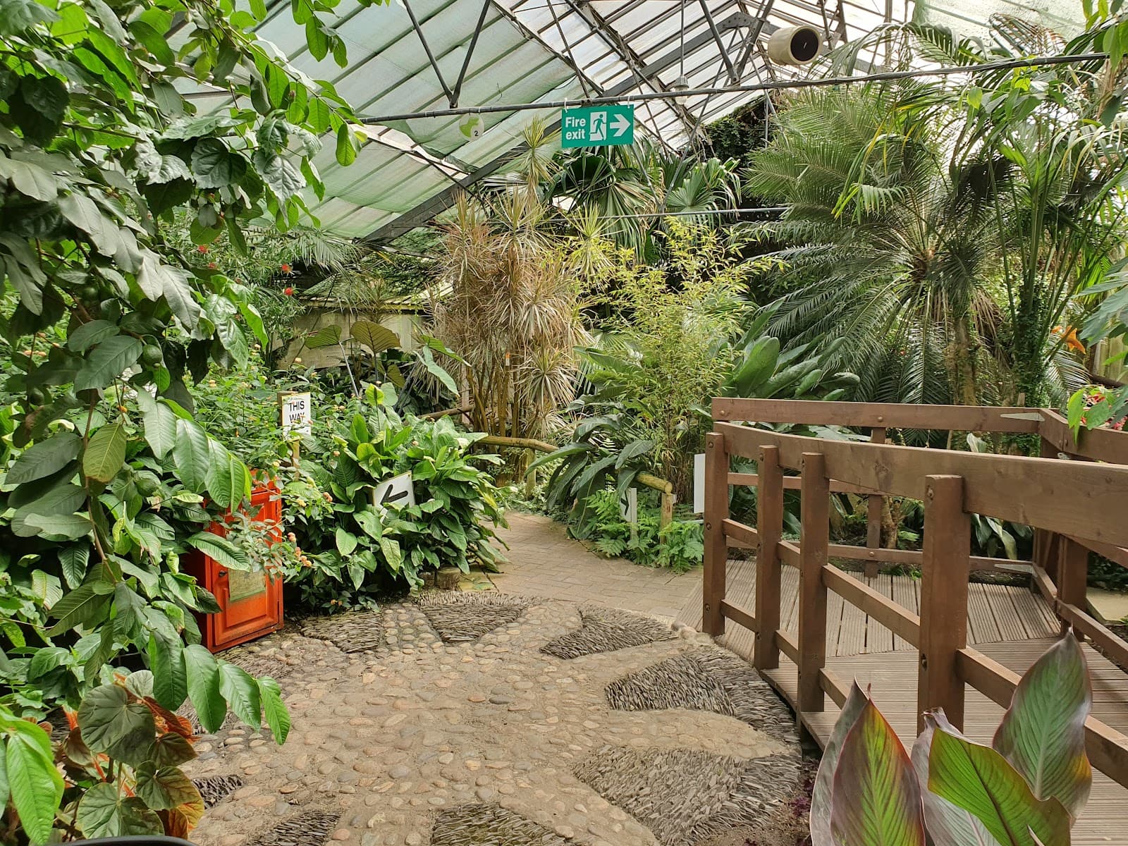 Manor Heath Park and Jungle Experience - Image 1