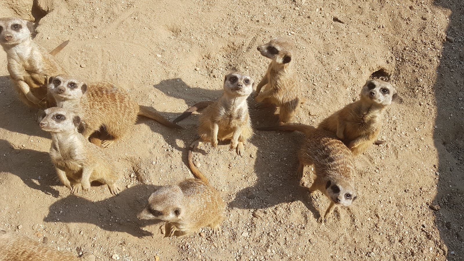 Tierpark Wittenberg - Image 1
