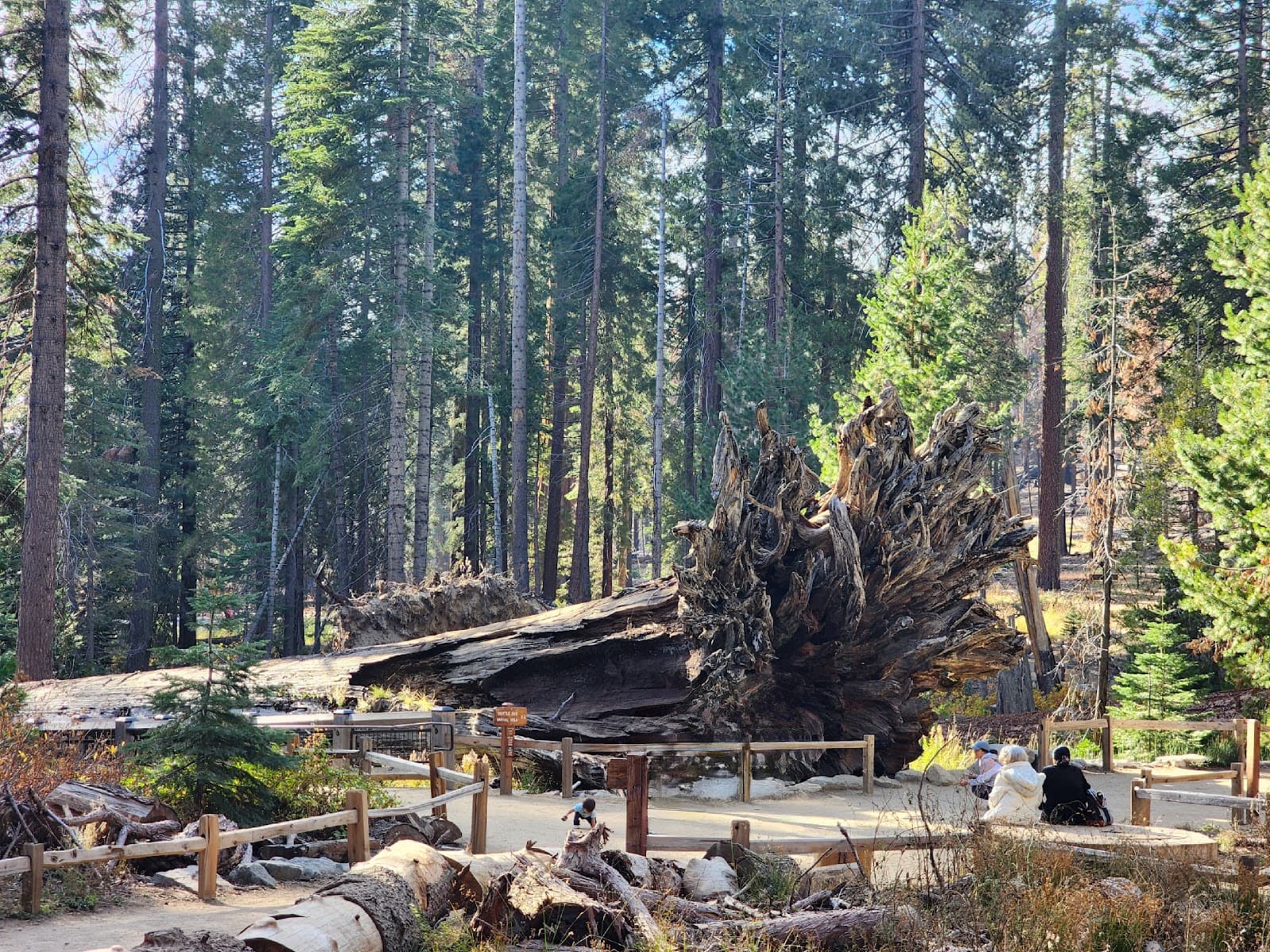 Fallen Monarch - Image 1