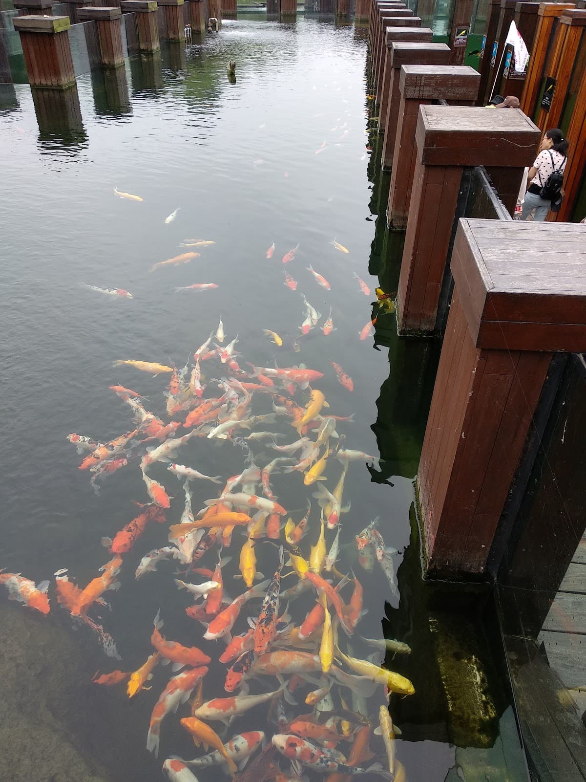 Hangzhou Bay National Wetland Park (Cixi) - Image 1