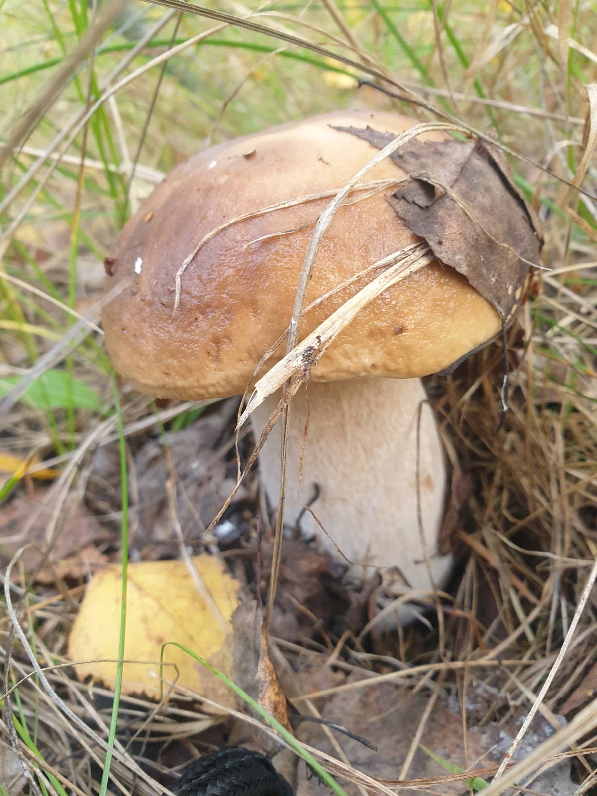 Soviet-Era Architecture