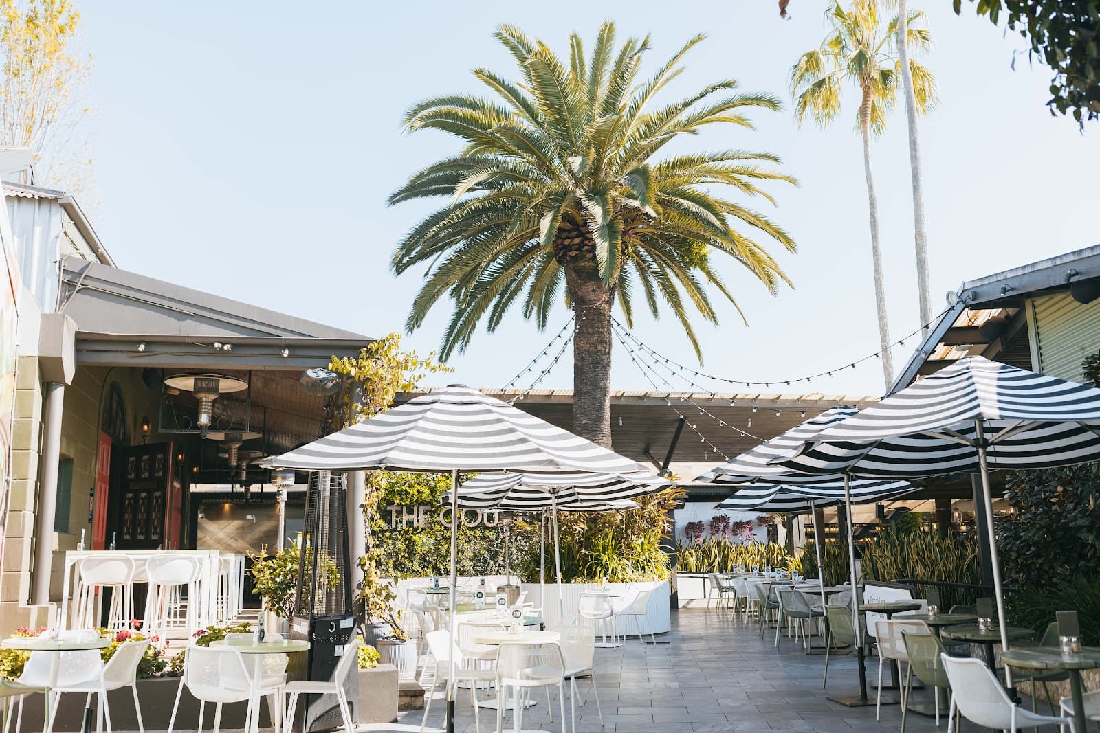 The Fiddler - Image 1