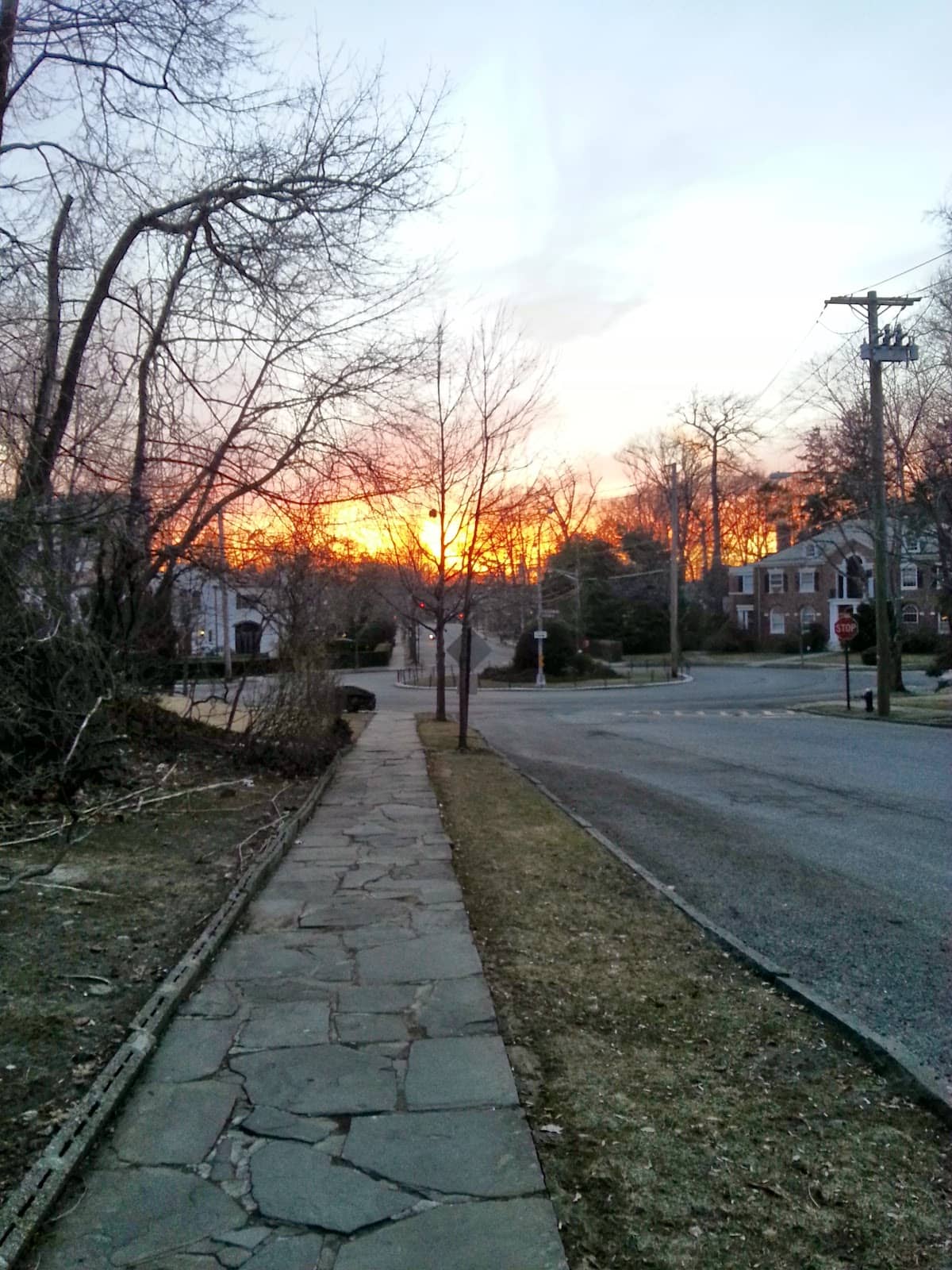 Countryside Ambiance in NYC