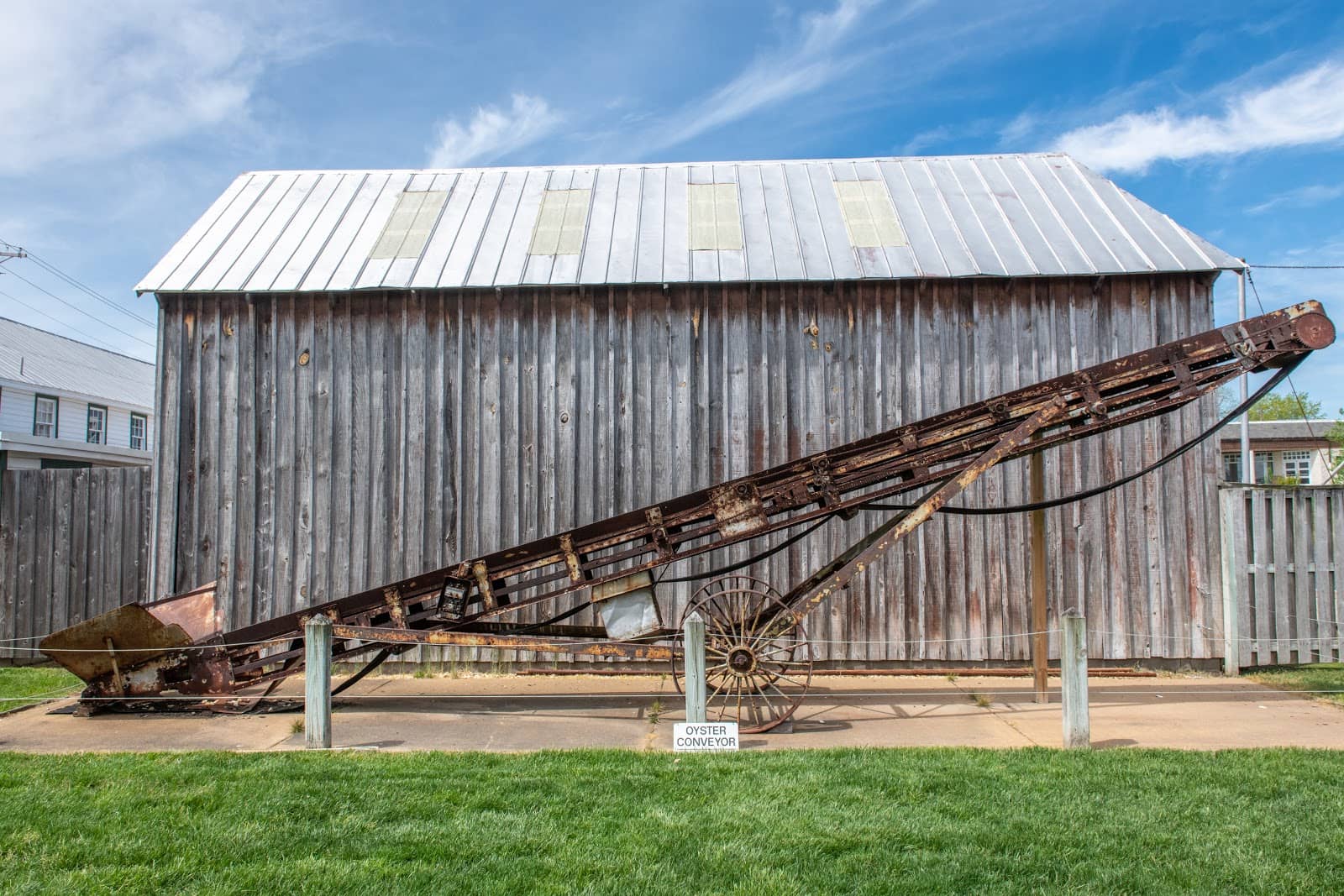 Shell Identification