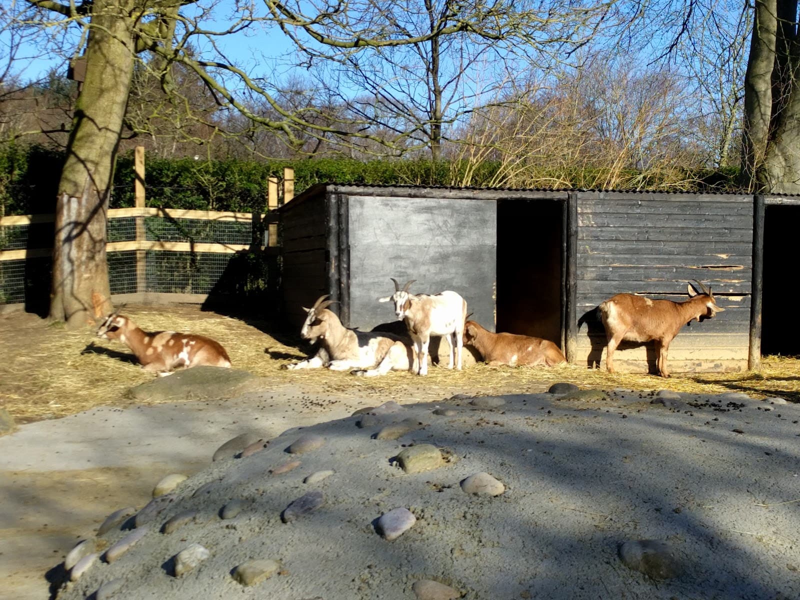 Hazlehead Park Pets Corner - Image 1