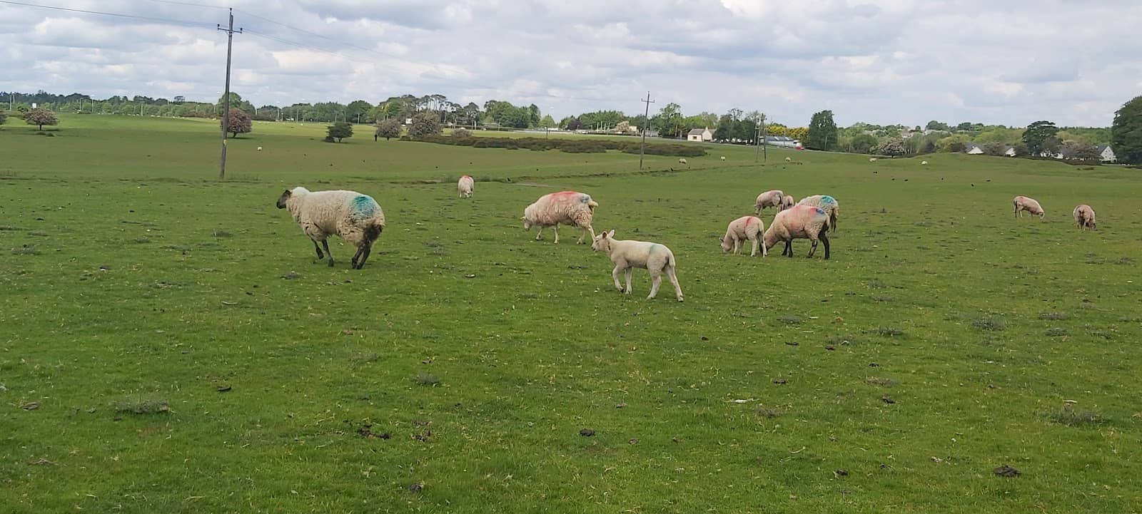 Fashion at the Races