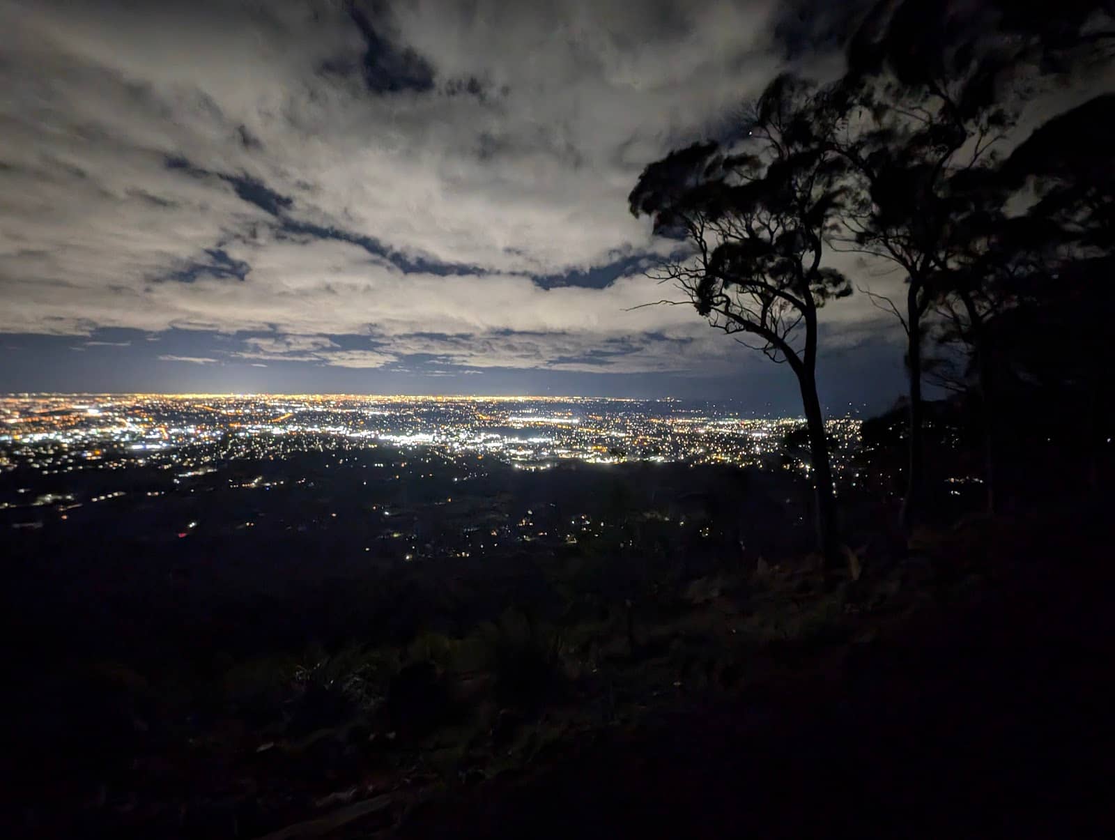 Tranquil Nature Walk