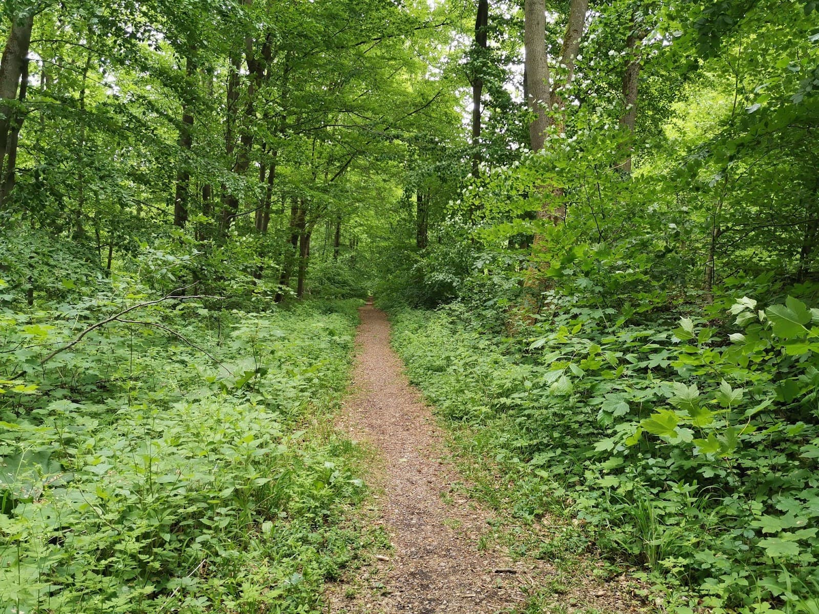 Deister Hills Day Trip - Image 1