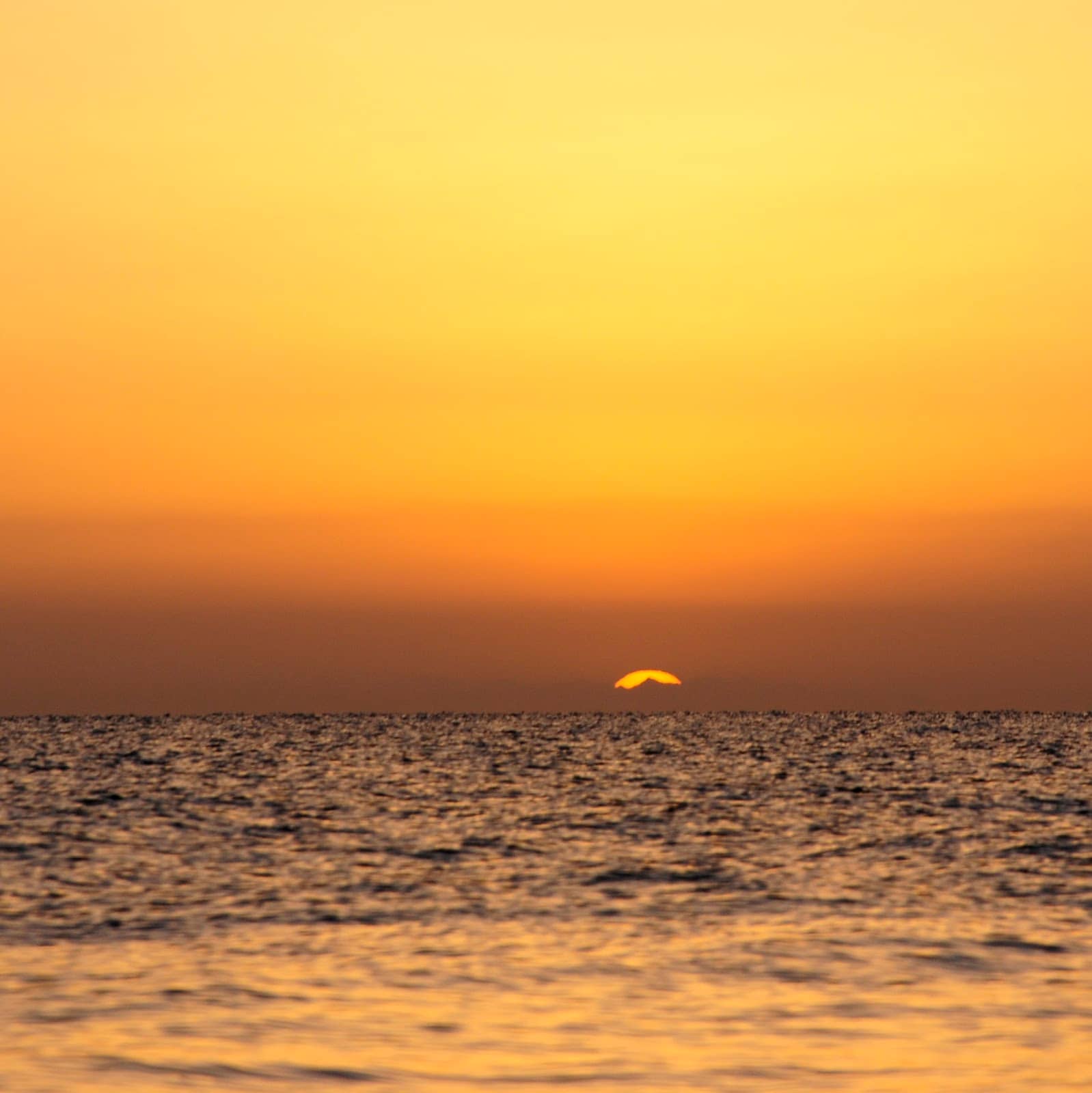 Local Culture & History