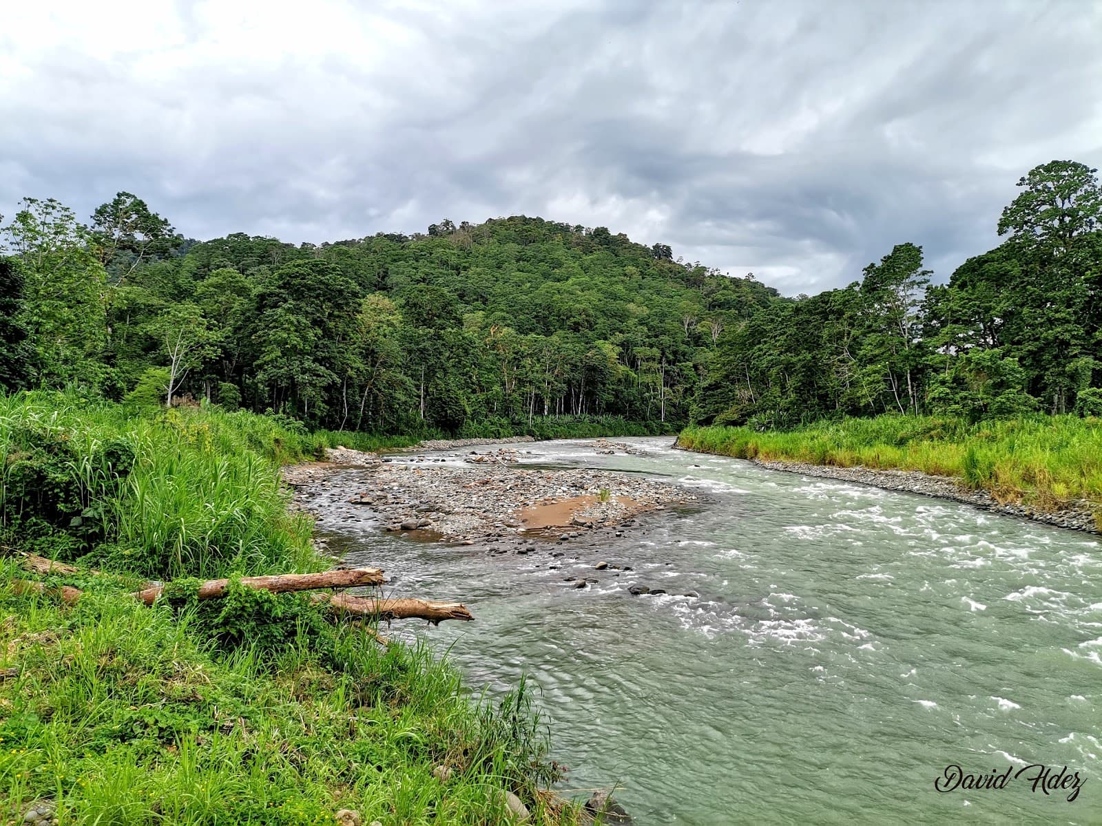 Pejibaye River Tubing - Image 1