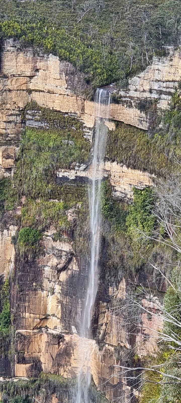 Panoramic Blue Mountains Views