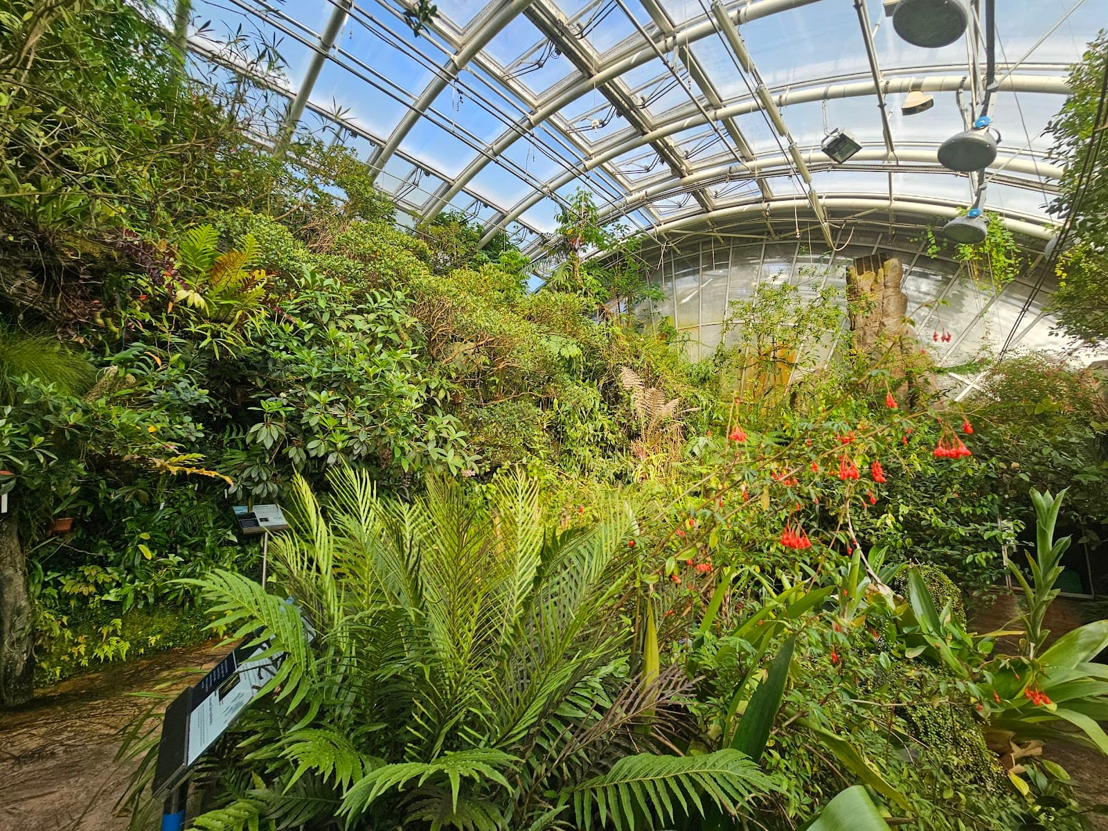 Fata Morgana Greenhouse (Botanical Garden) - Image 1