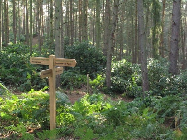 Rushmere Country Park - Image 1