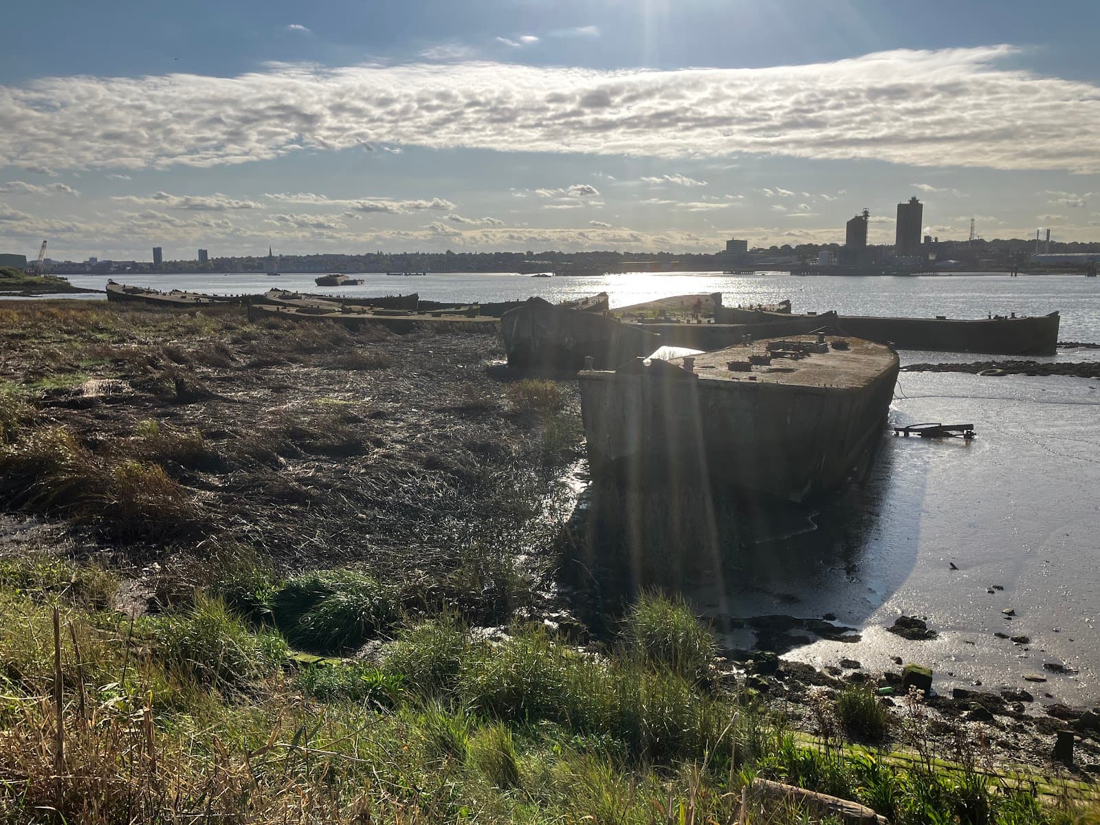 The Diver, Rainham - Image 1