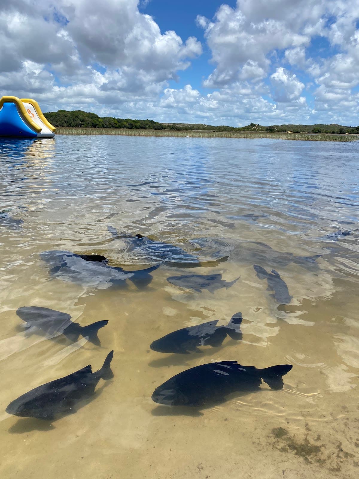 Lagoa dos Tambaquis - Image 1