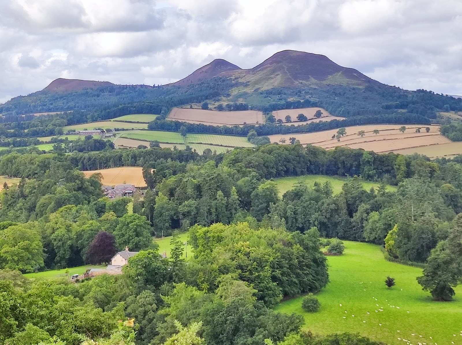 Scott's View - Image 1