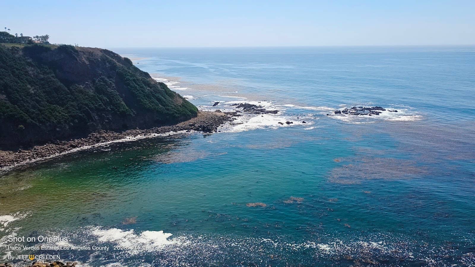 Astra Lumina at South Coast Botanic Garden