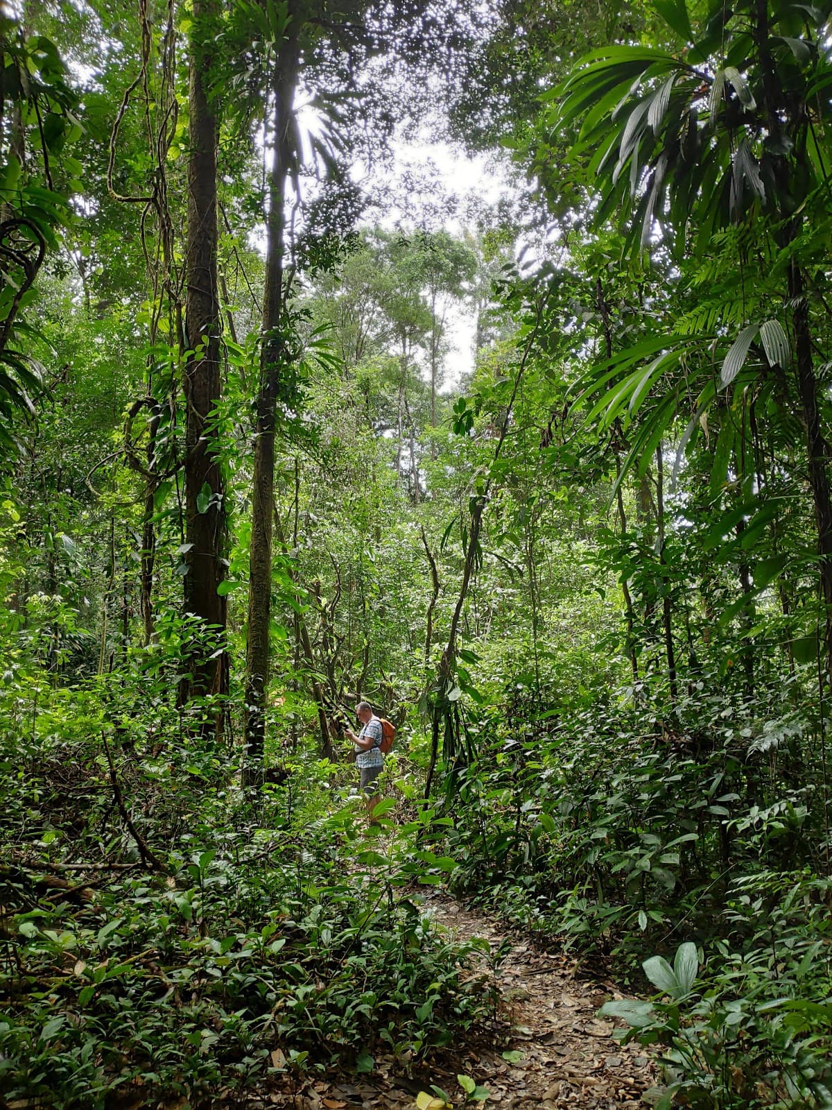 Kaw Marshes Nature Reserve - Image 1