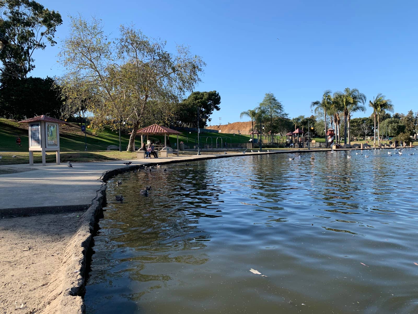 Concerts in the Park