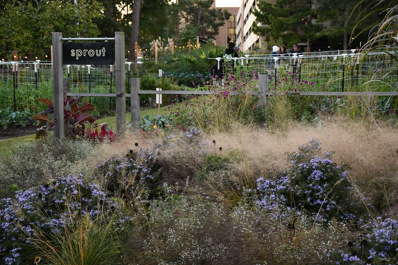 Scenic Walking Trails