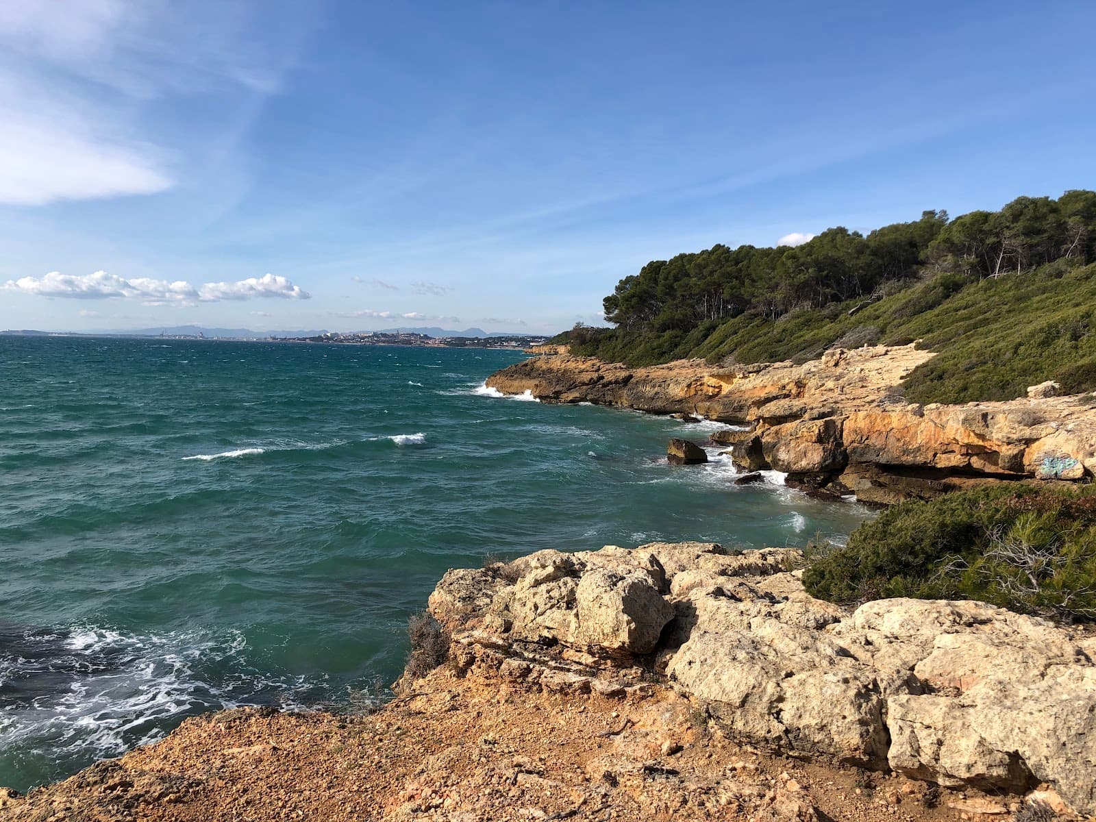 Bosc de la Marquesa - Image 1