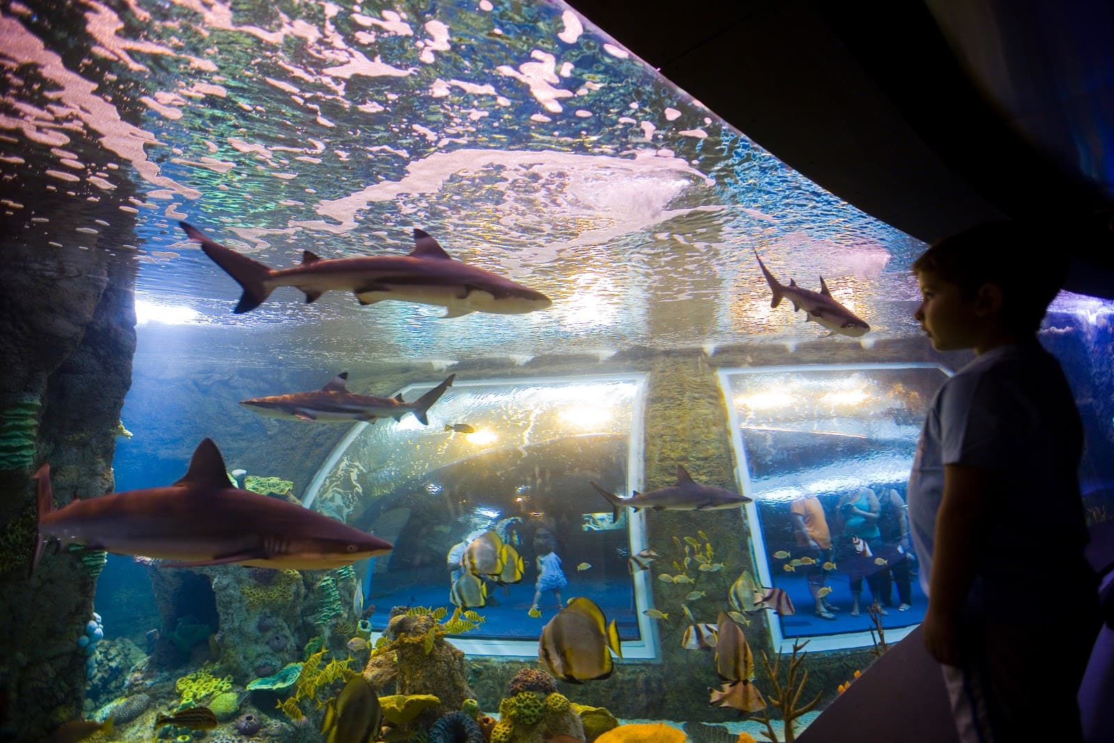 BioDomo Science Park - Image 1