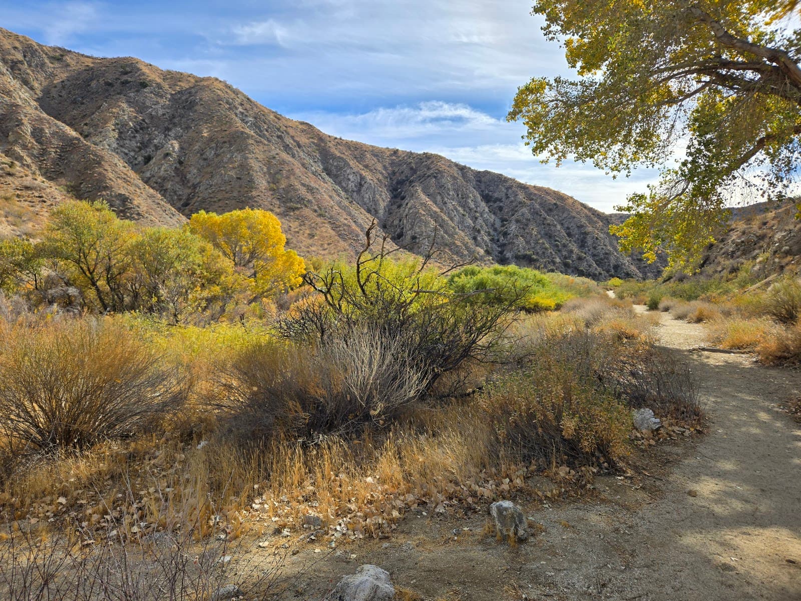 Big Morongo Canyon Preserve - Image 1