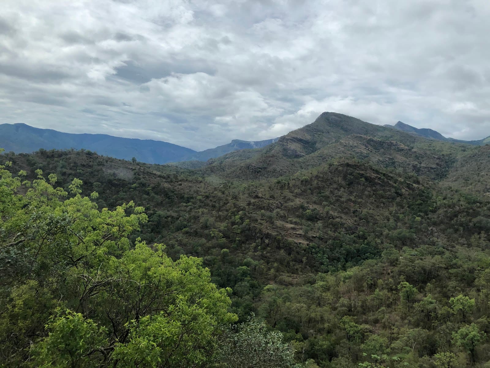 Chinnar Wildlife Sanctuary - Image 1