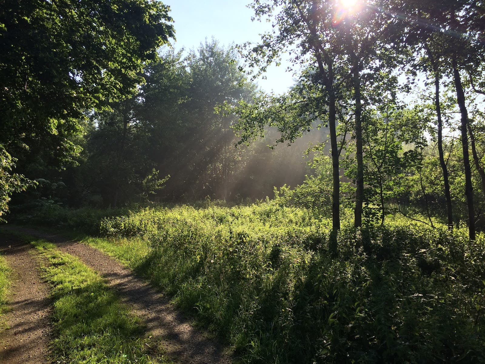 Hollandse Hout - Image 1