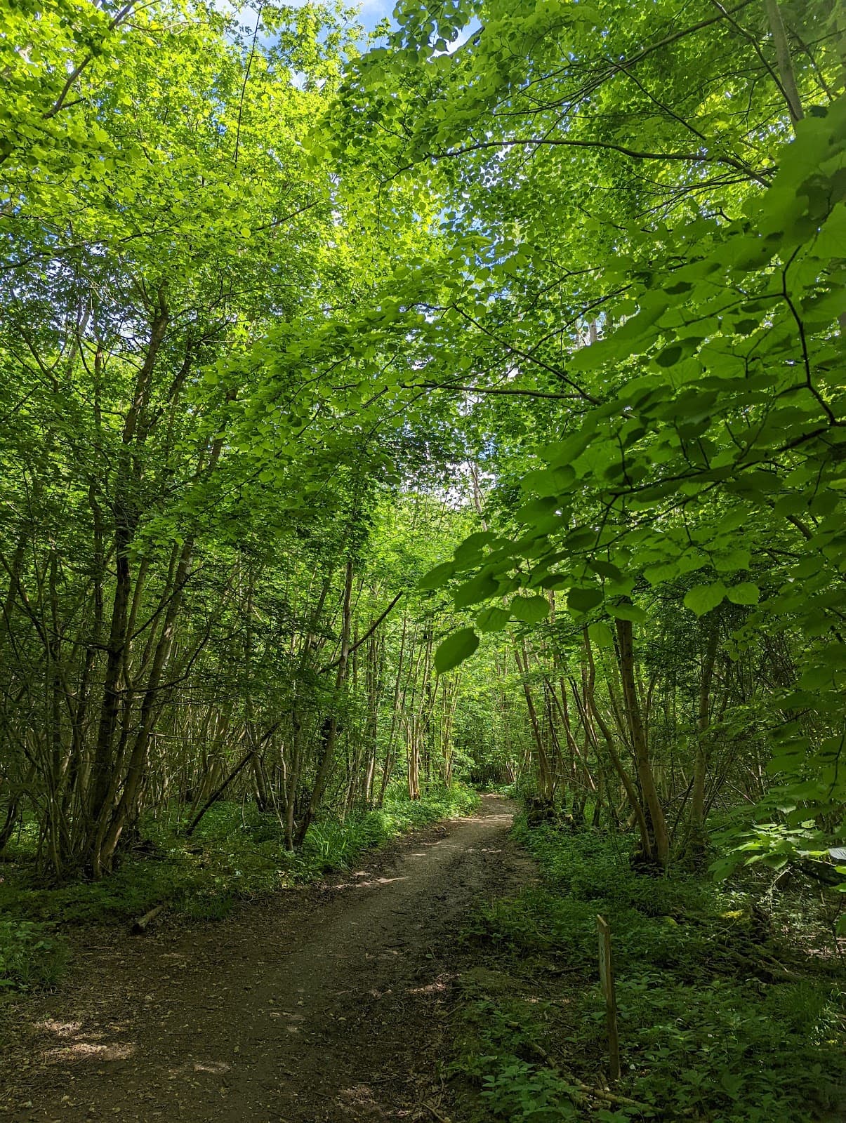 Bradfield Woods Suffolk - Image 1