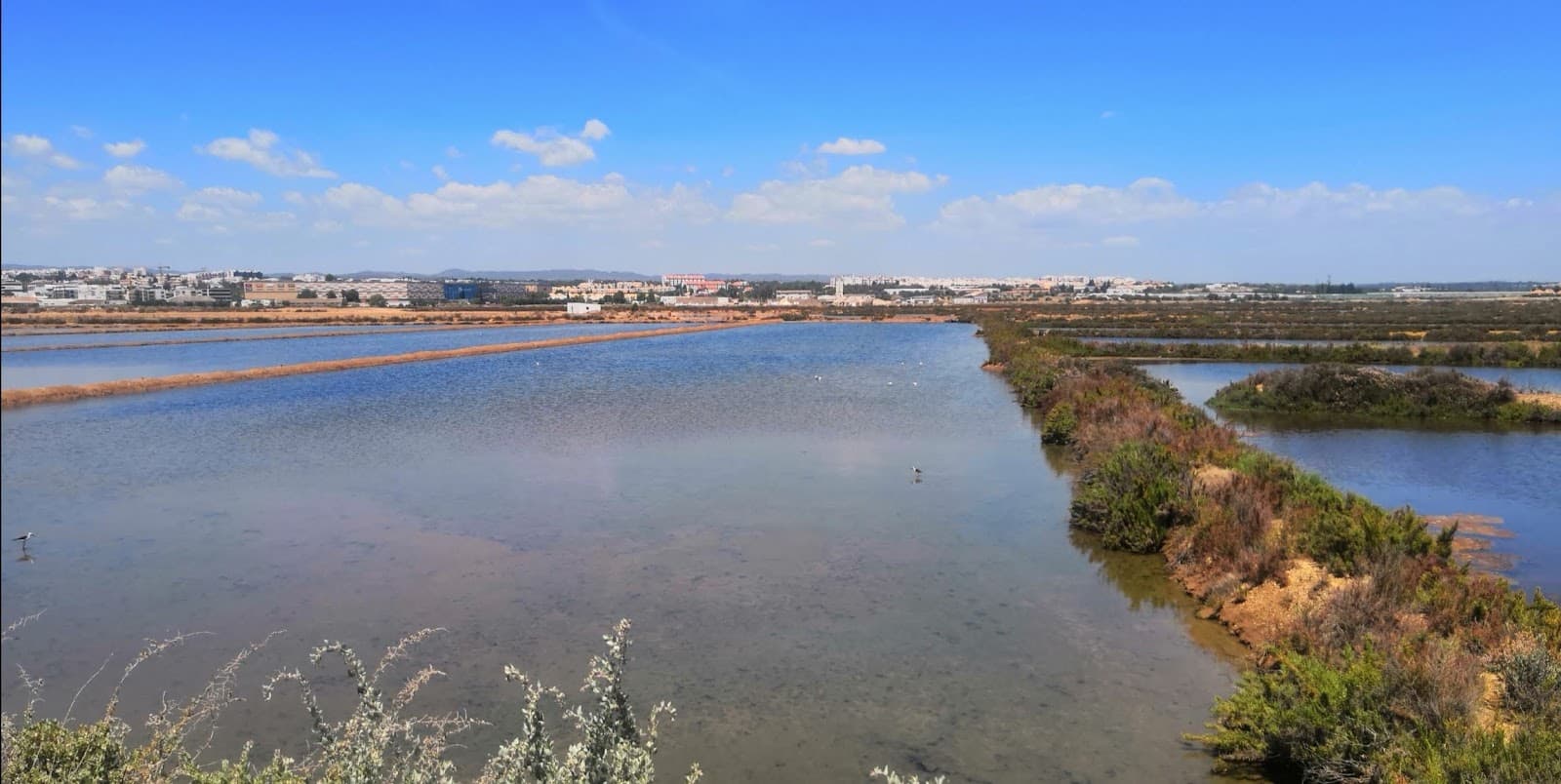 Salinas de Tavira (Salt Pans) - Image 1
