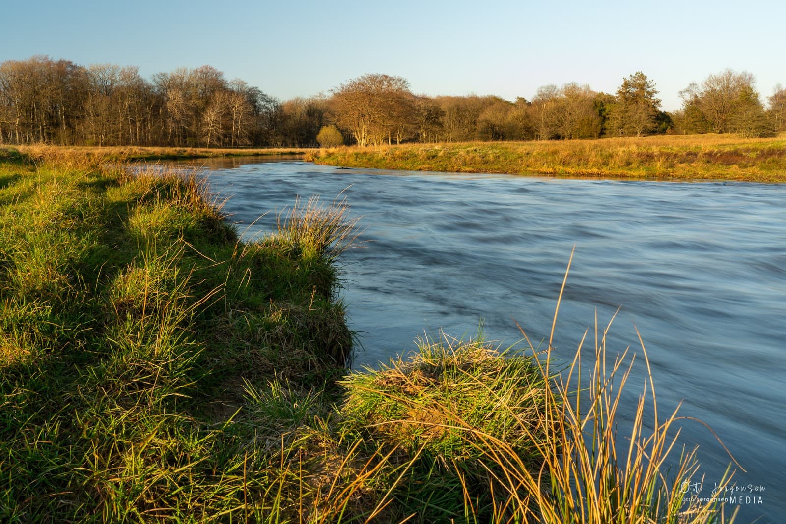 Nørholm Forest (Nørholm Skov) - Image 1