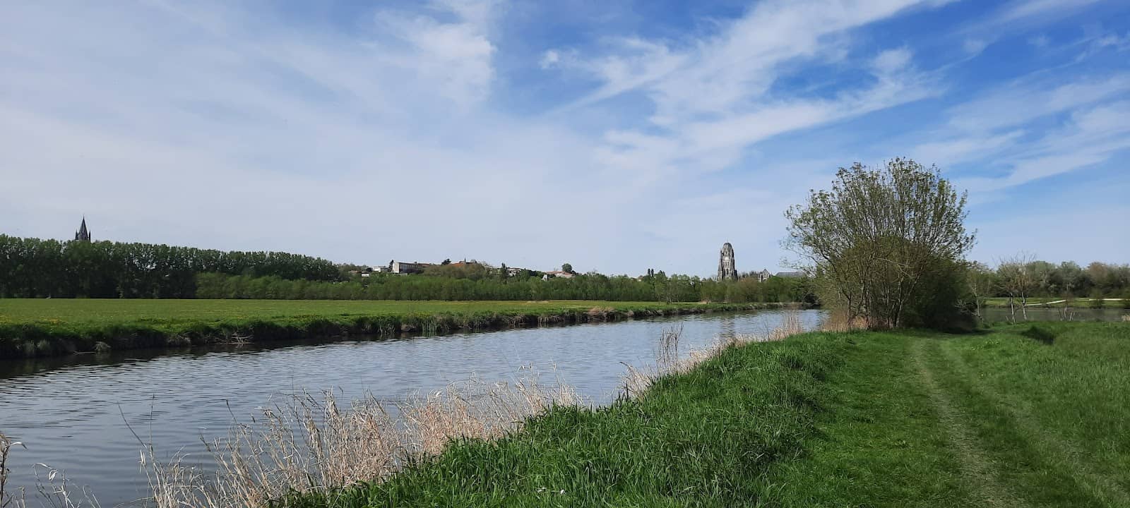 Nature's Urban Oasis