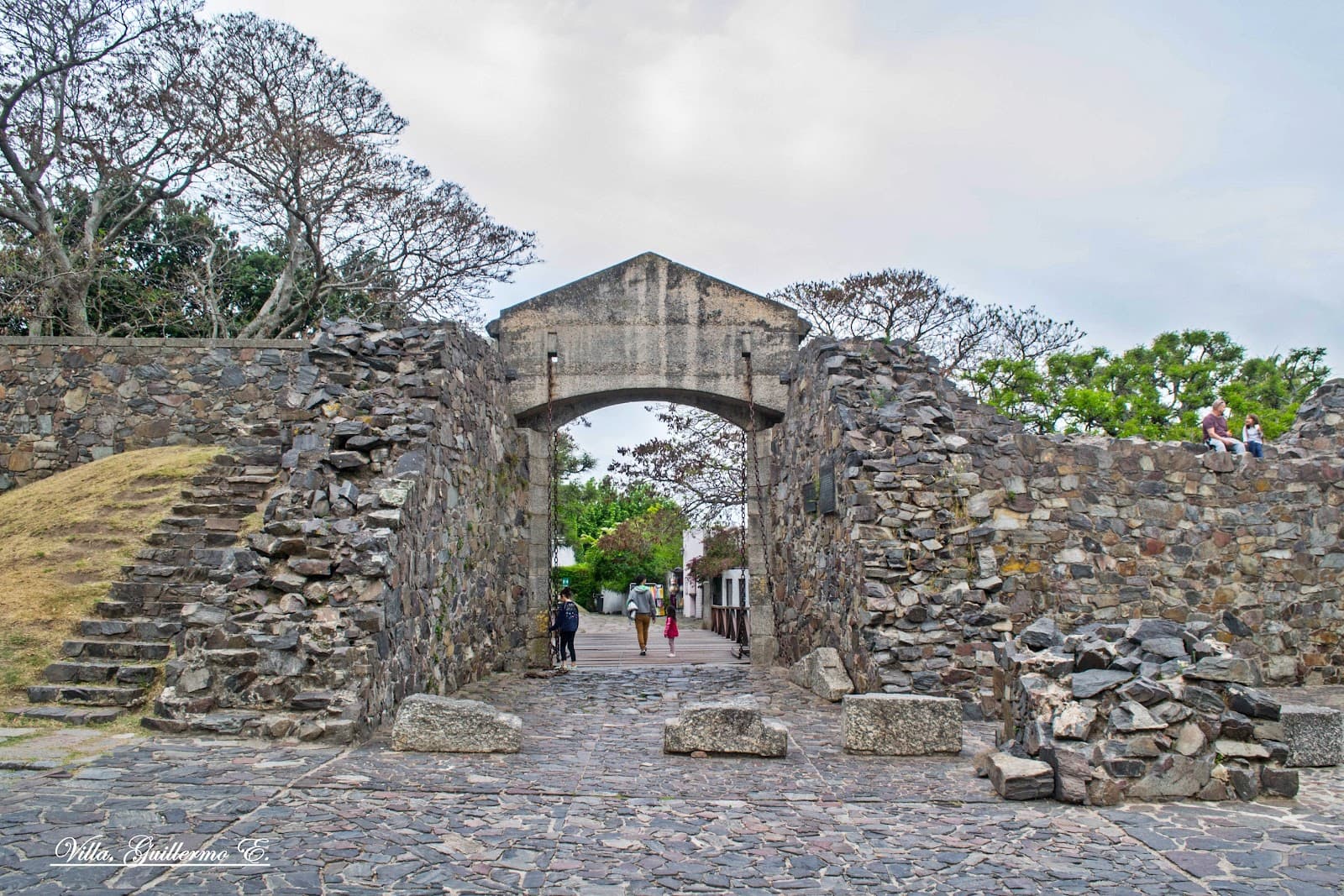 Portón de Campo - Image 1