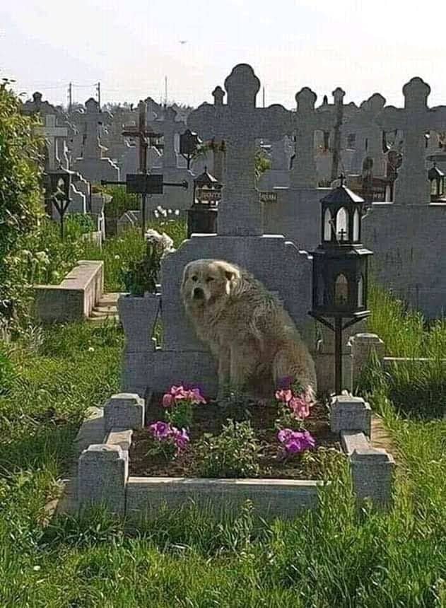 Jardines de la Finca Vista Alegre